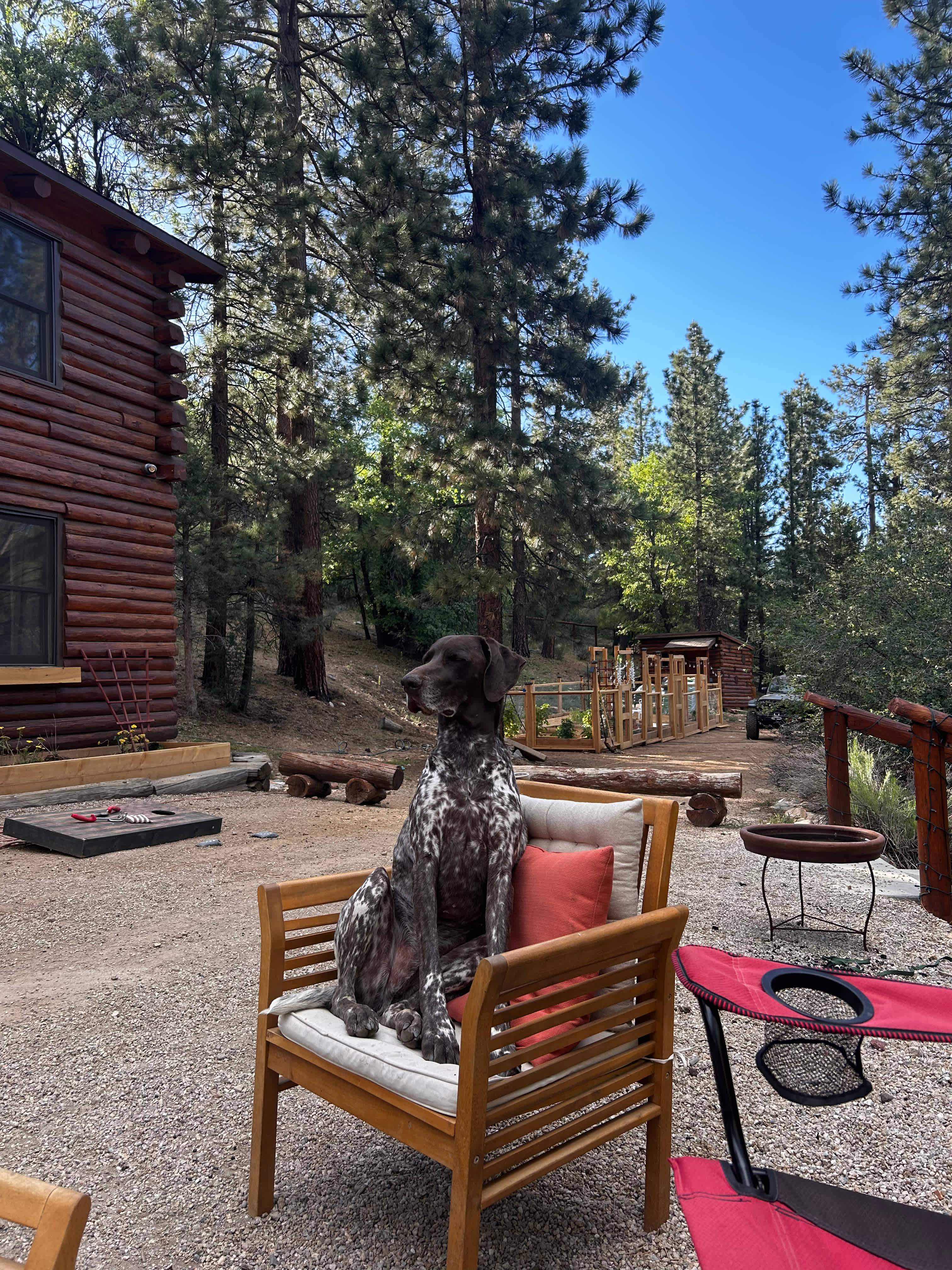Bear Hollow Camp Site