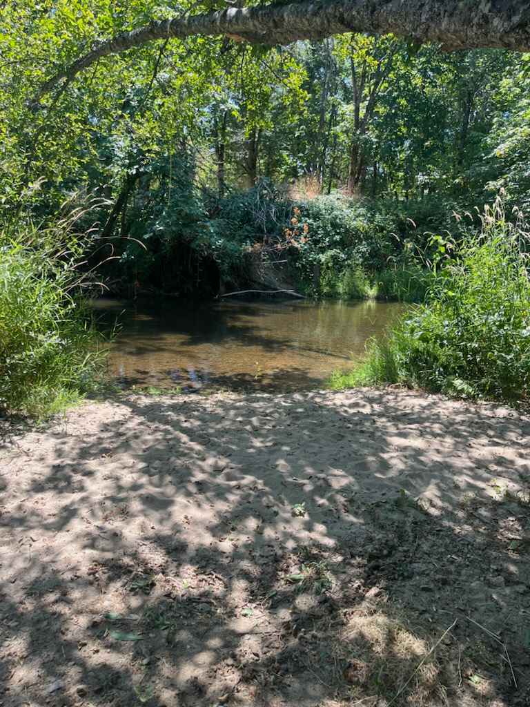 Tranquil Creekside