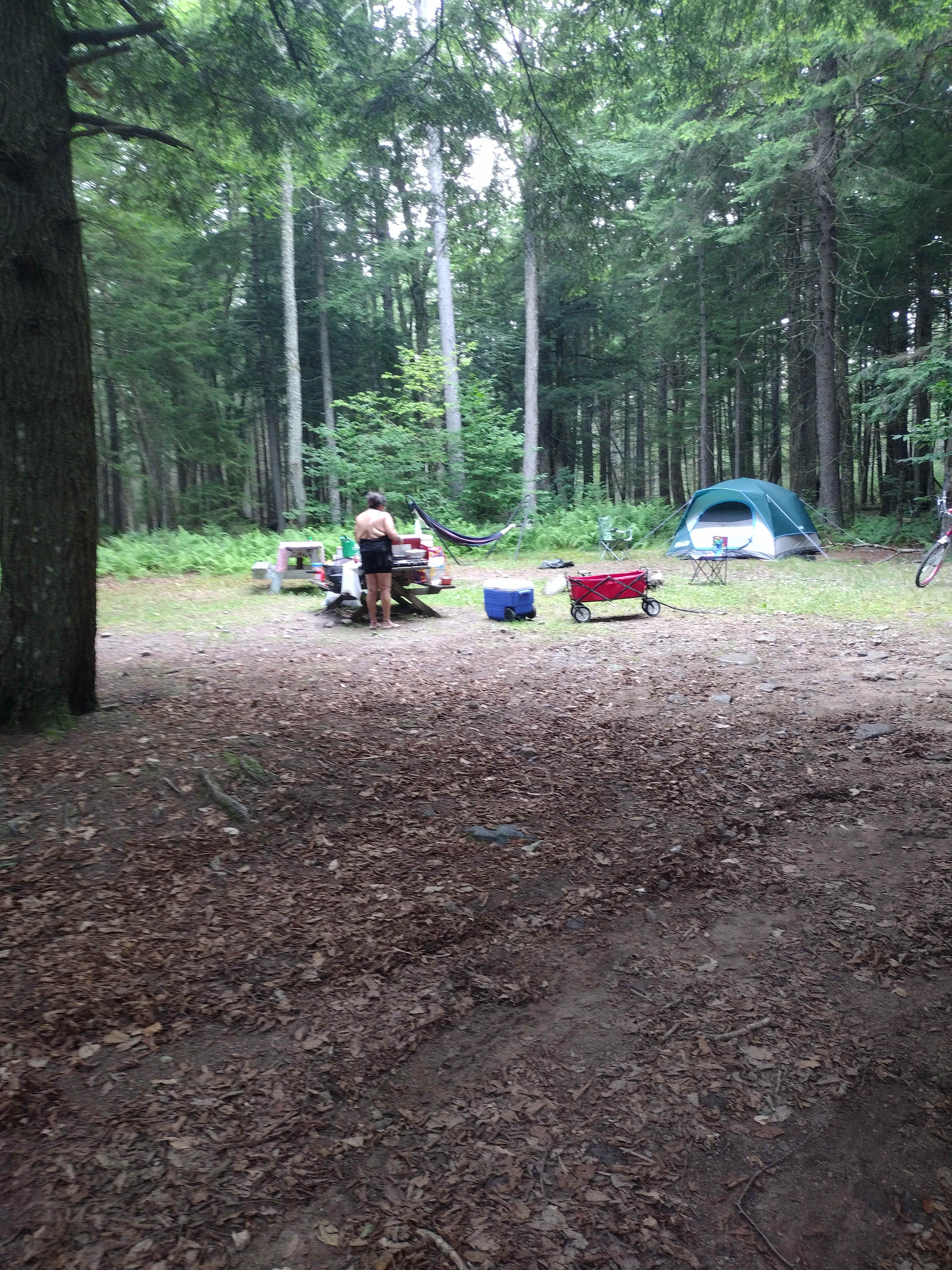 Picture of the site