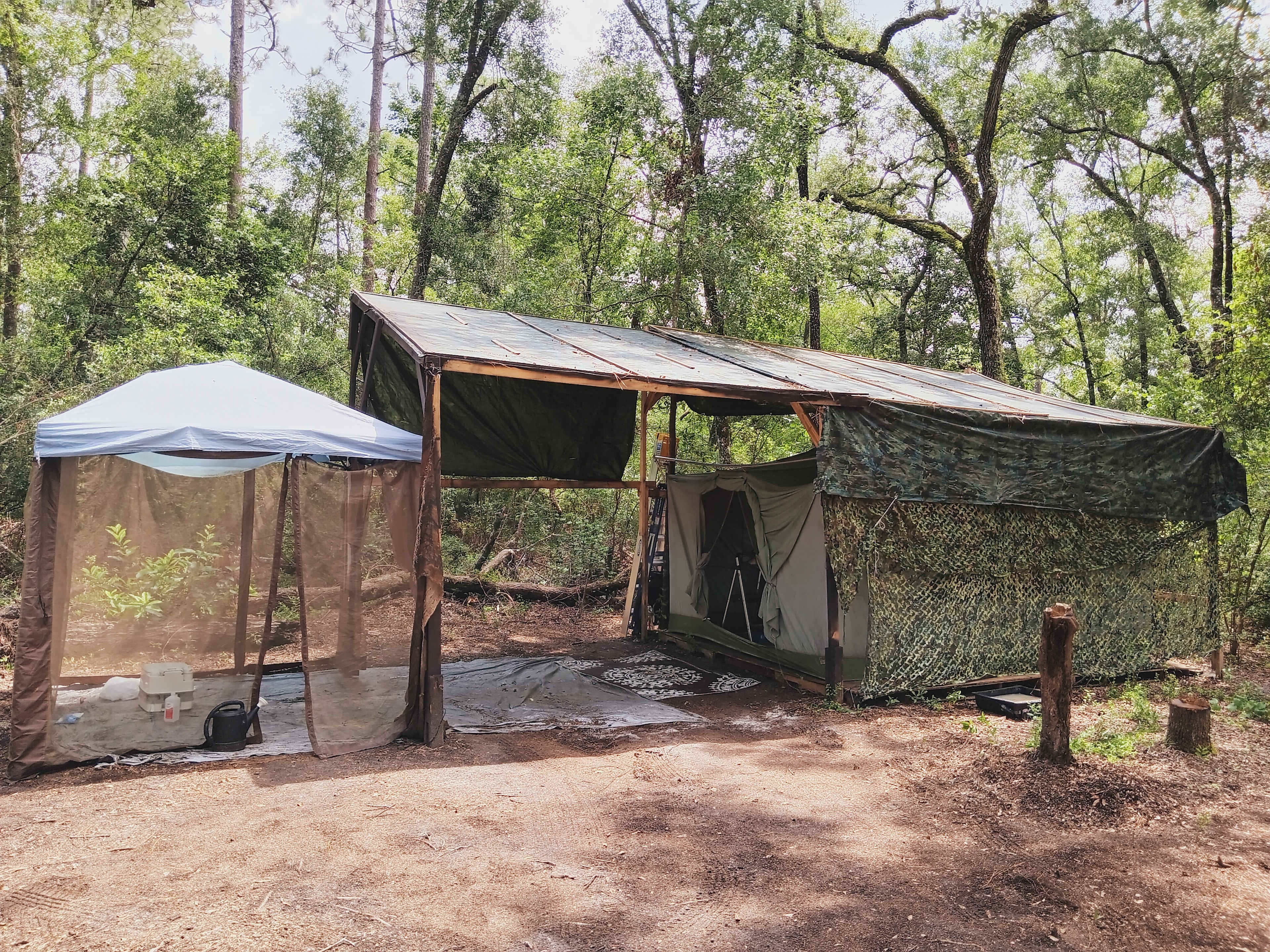 Solitude Ranch