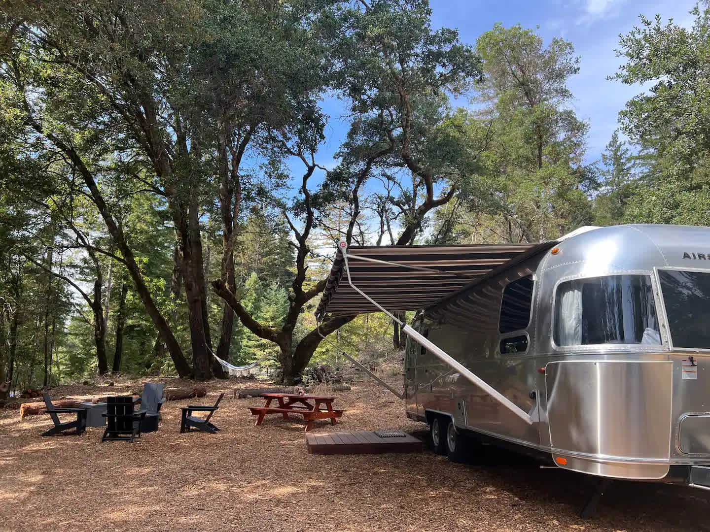 Breathing Trees Camp