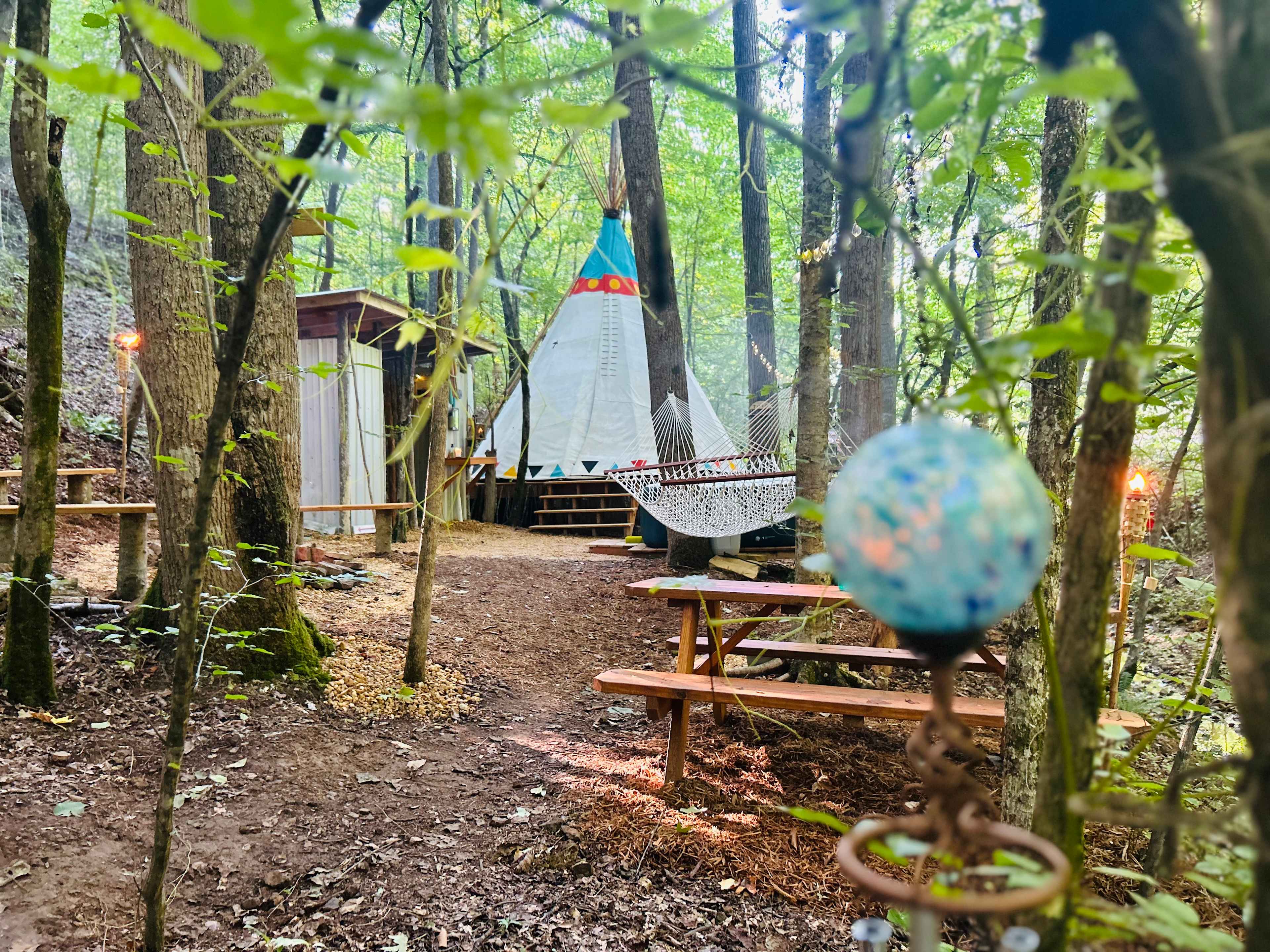 Picture of the site