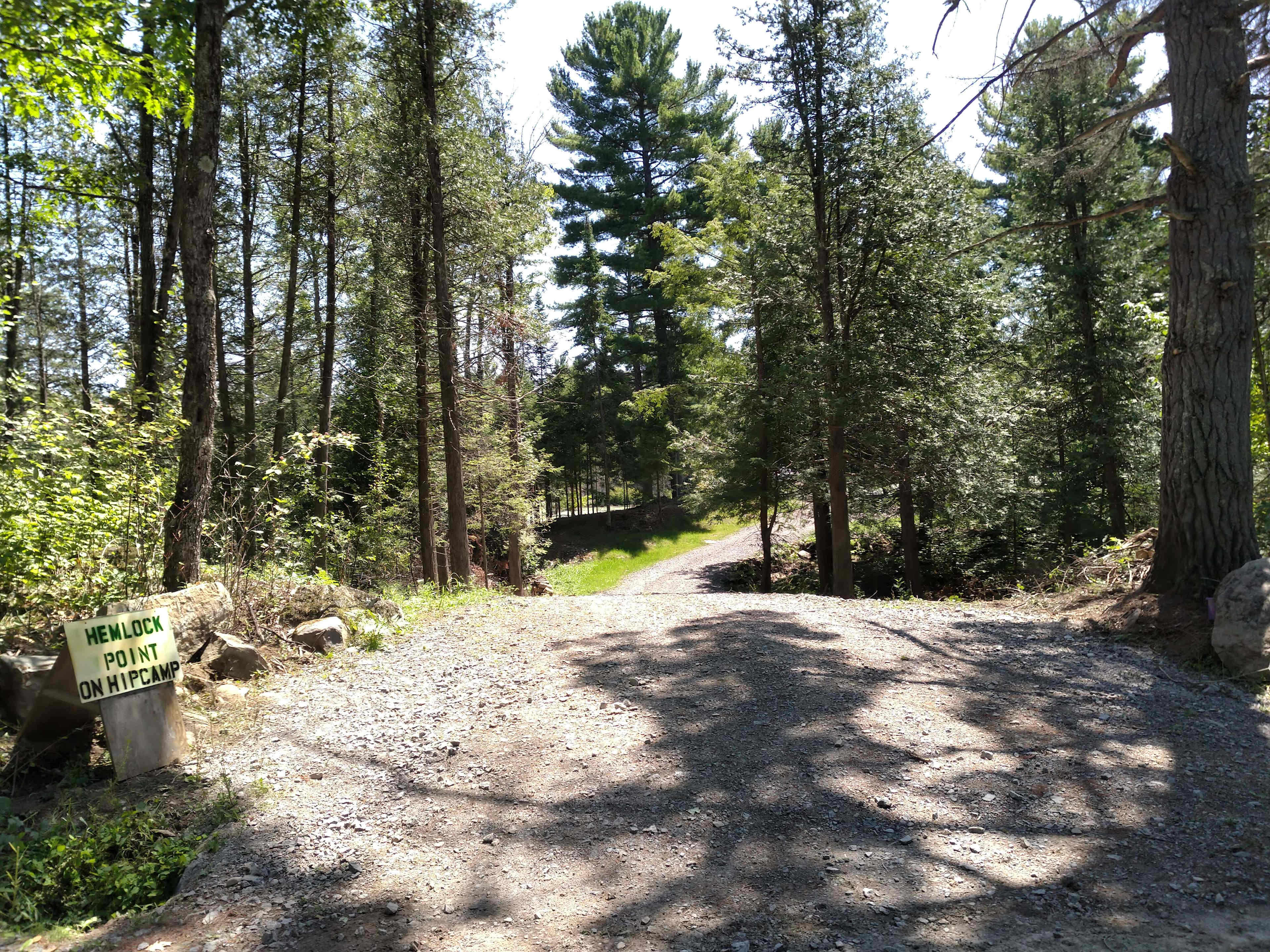 Picture of the site