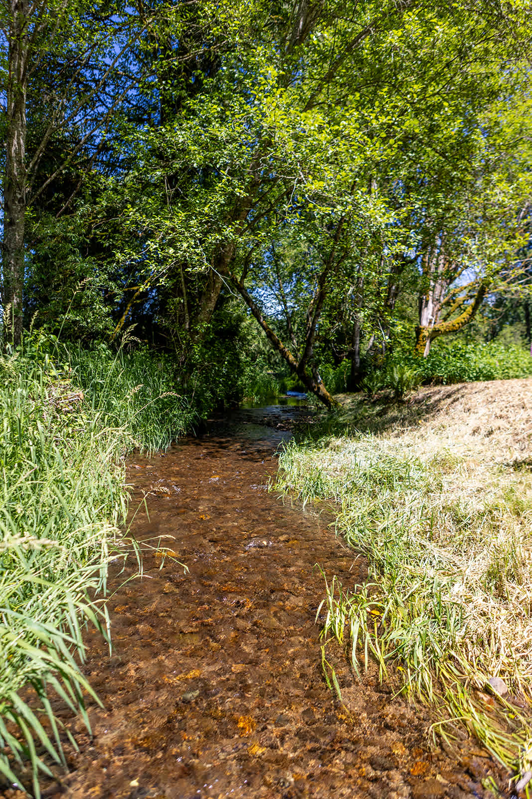 Kearney Creek Retreat