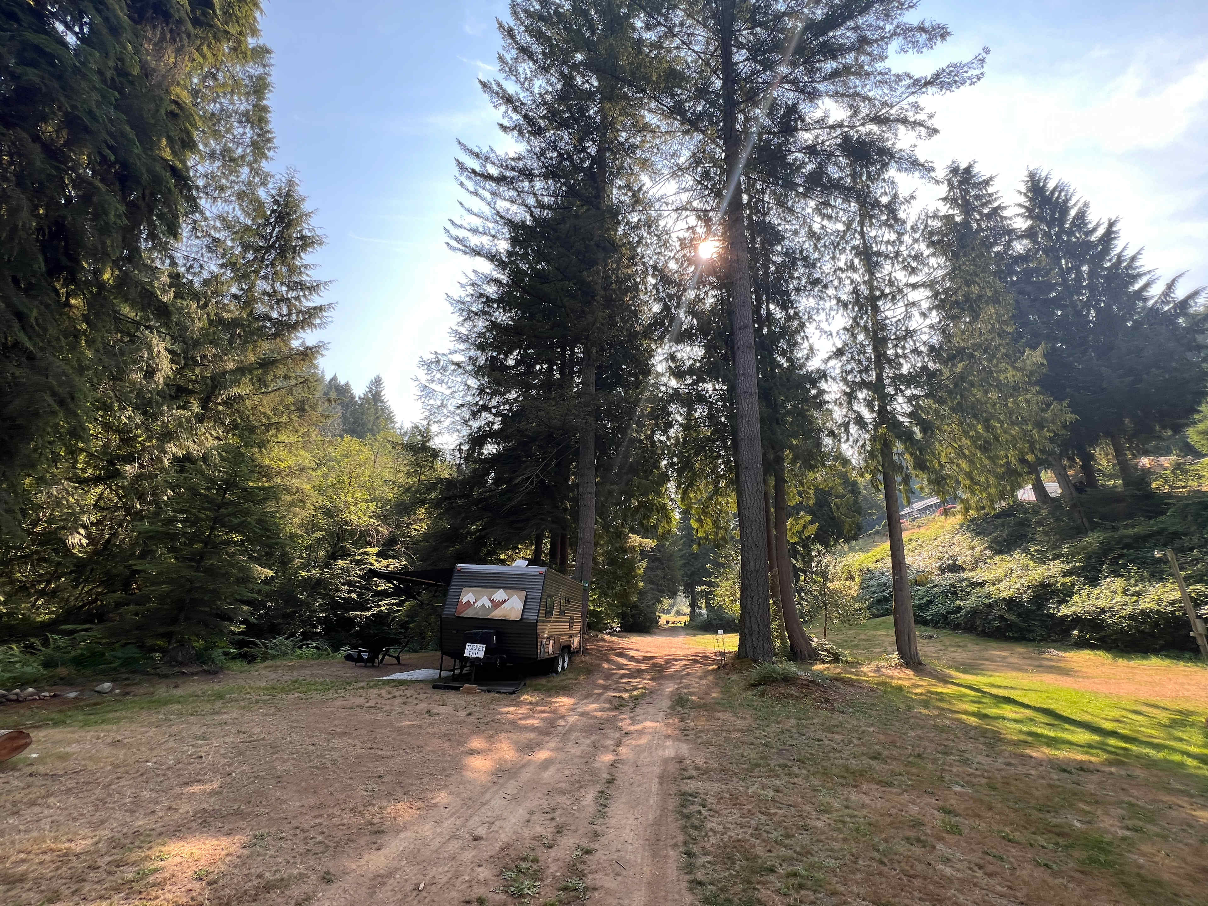 Picture of the site