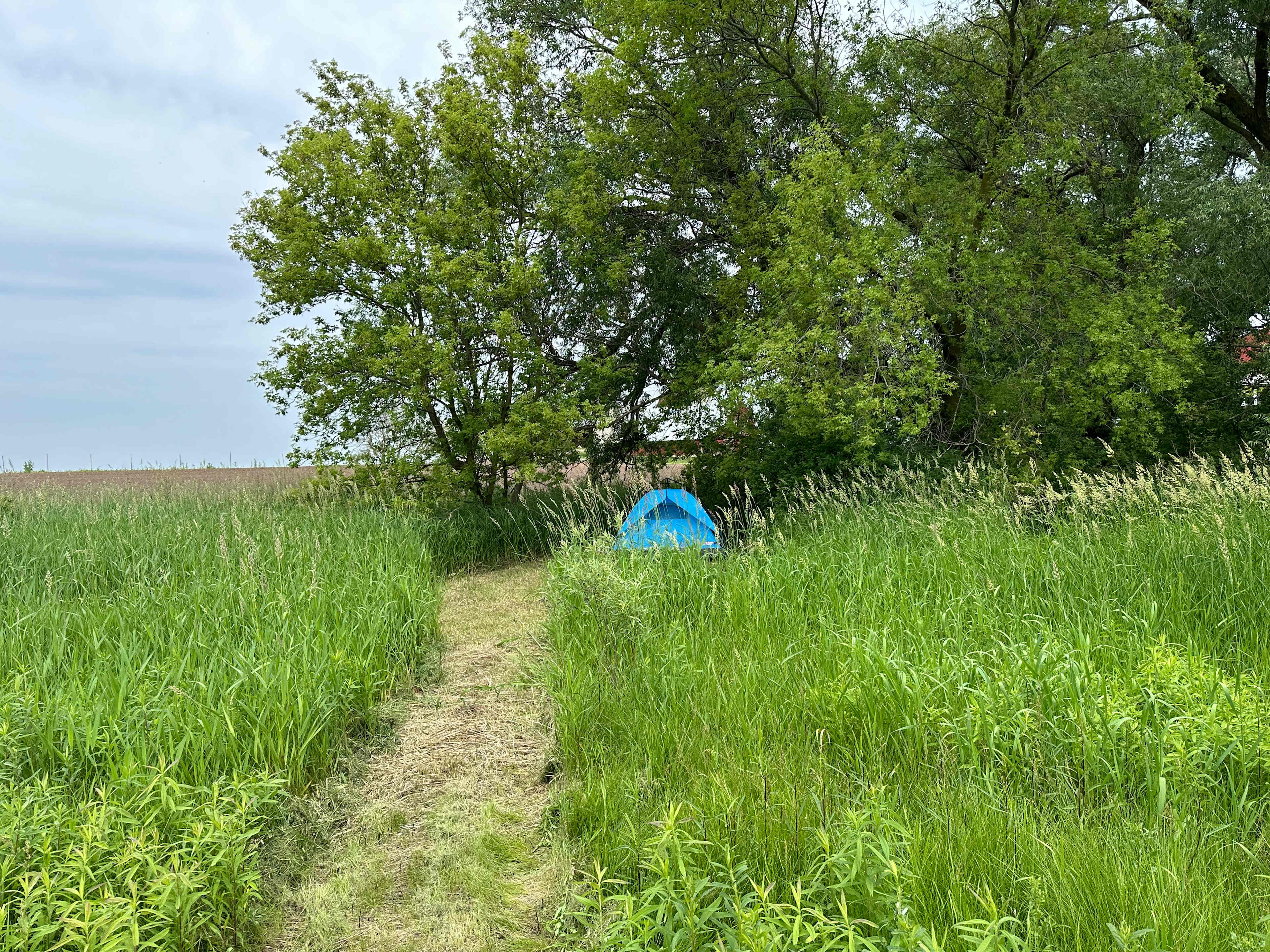 Picture of the site