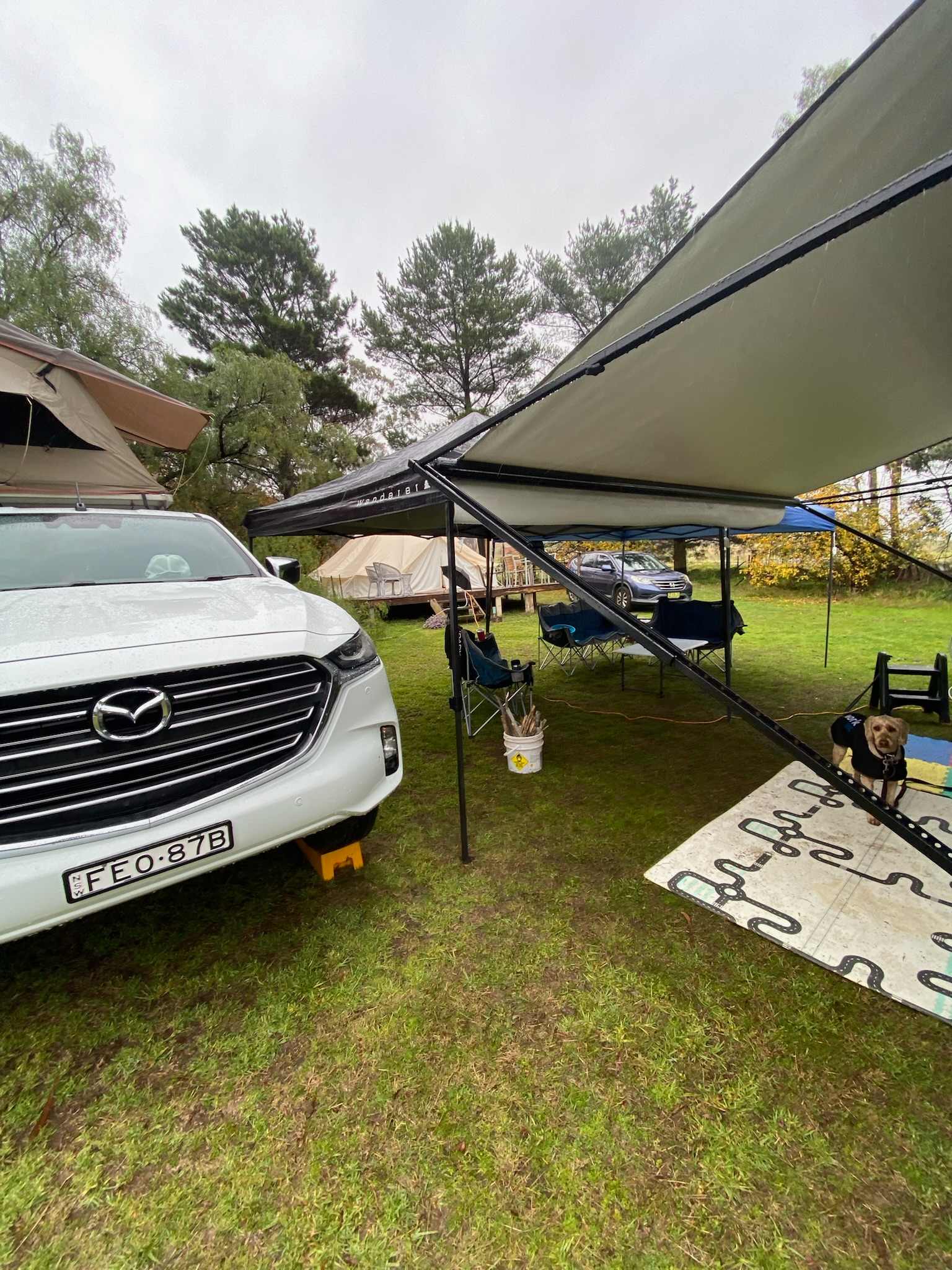 Picture of the site