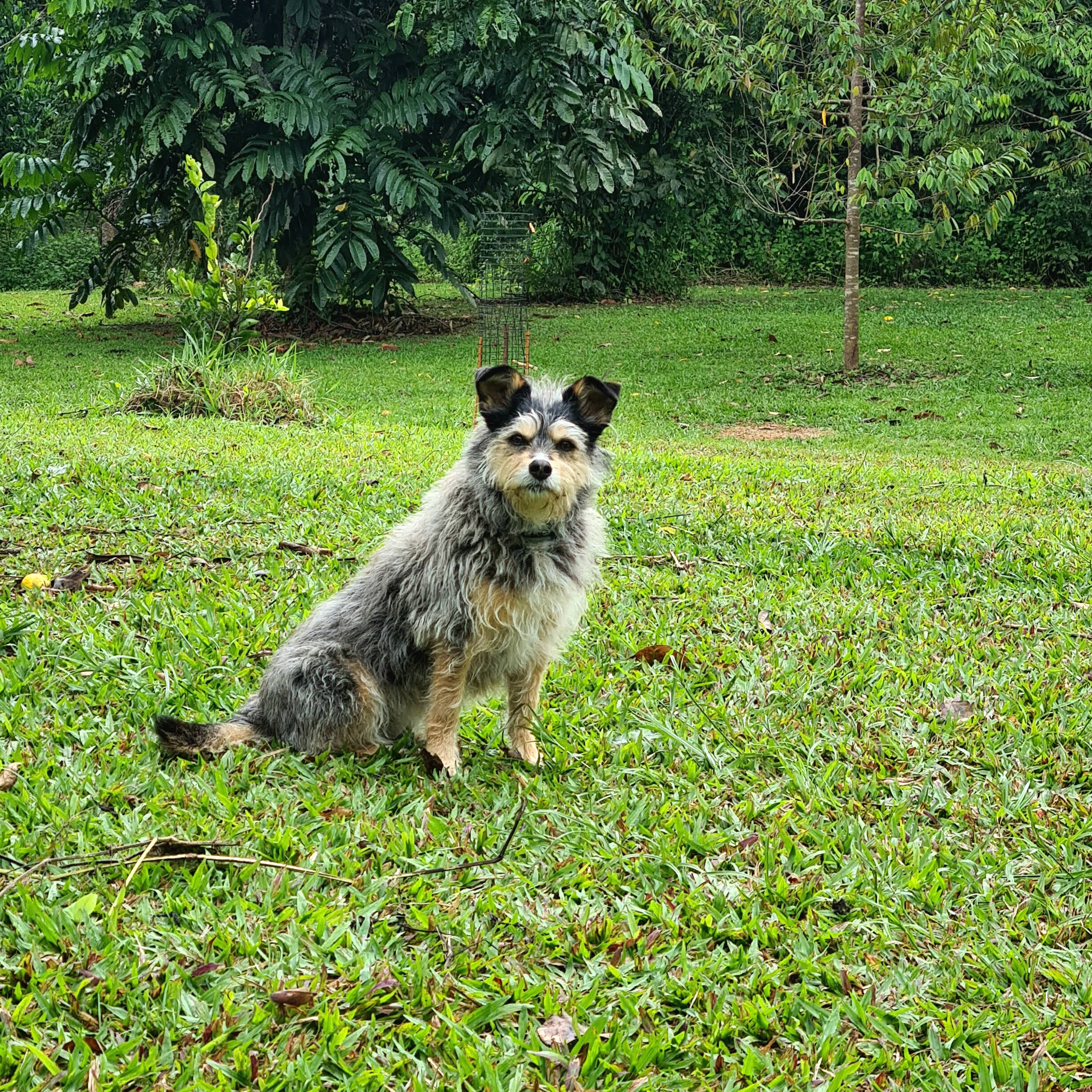 Beauty Spot Valley Organic Farmstay
