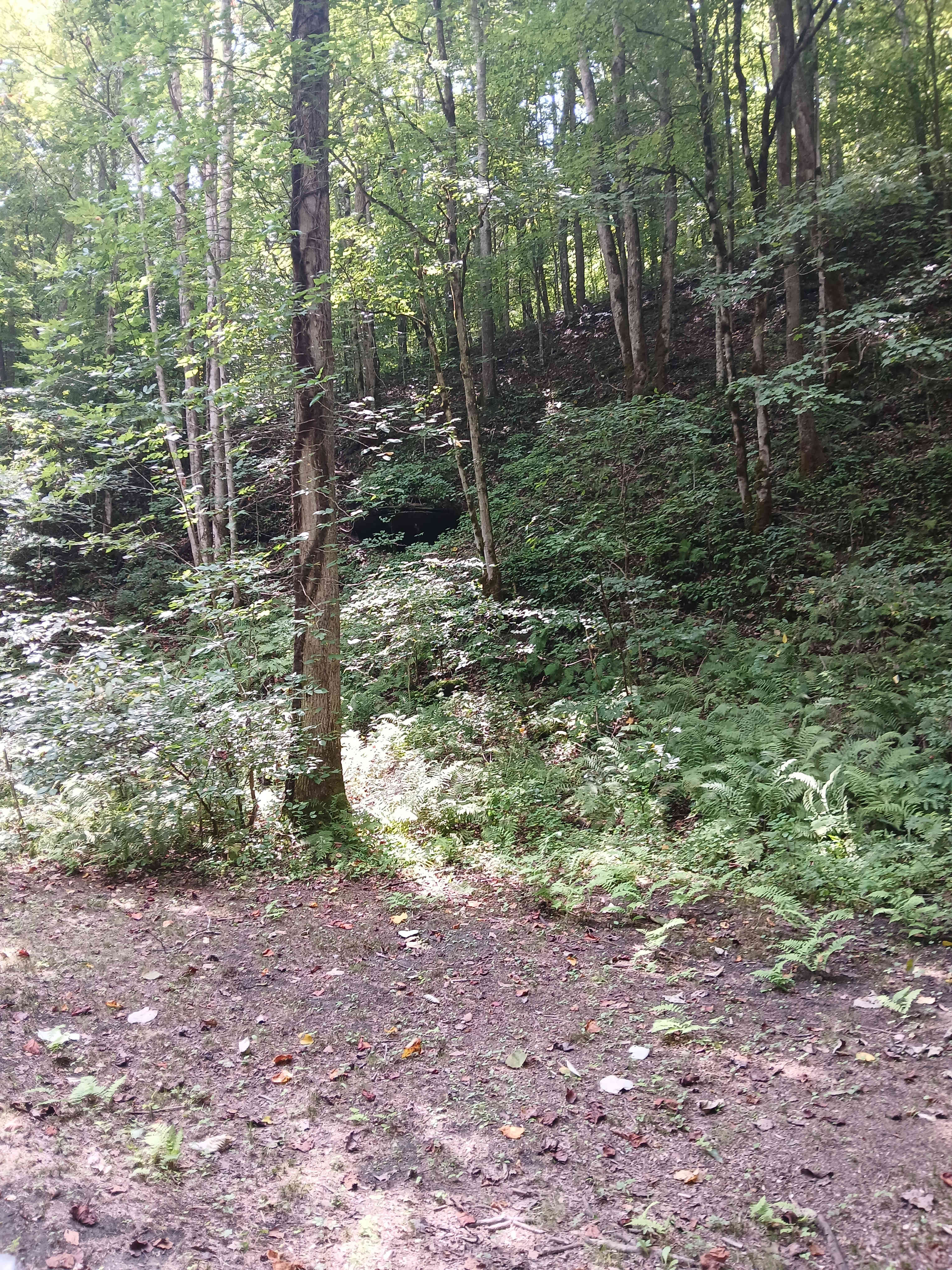 Sly Branch Creek Park and Trail
