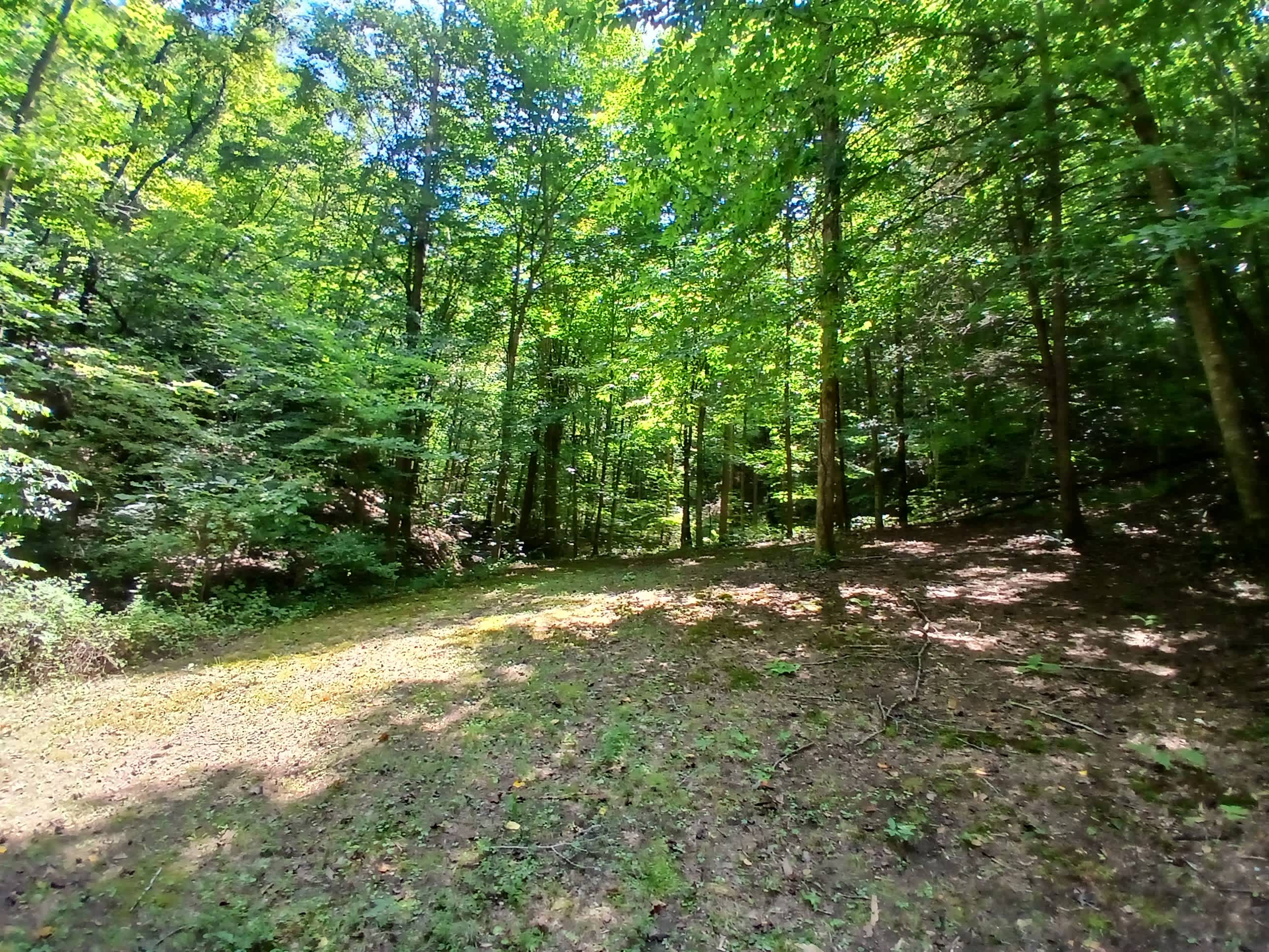 East side of camp spot
