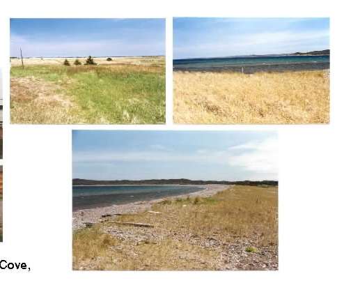 Frenchman’s Cove Coastal Getaway