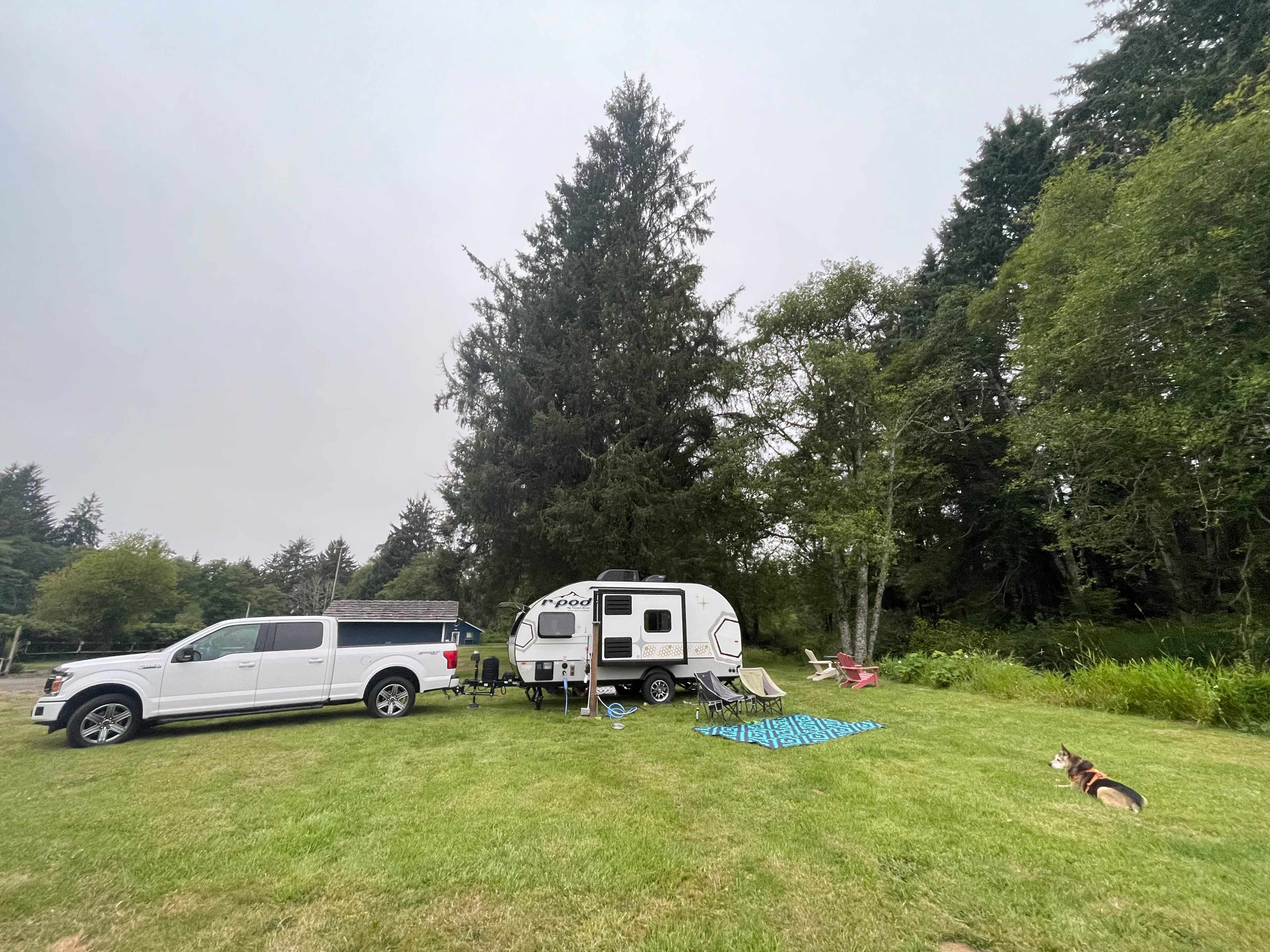 Picture of the site