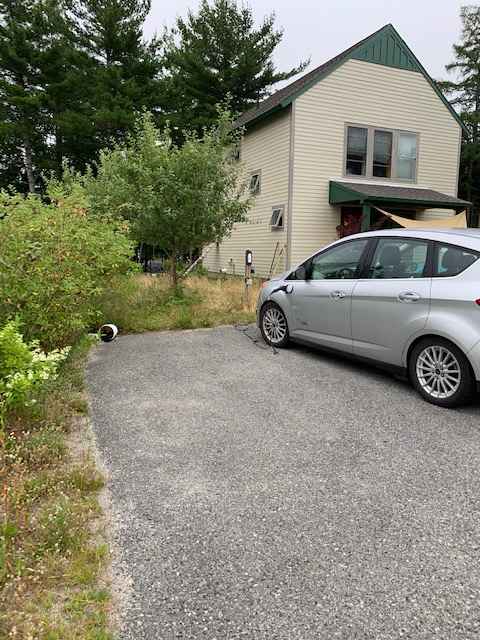 Acadia Milkweed & Catnip