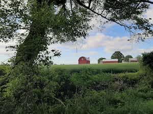 The view coming in to our farm.  1 mile driveway.  