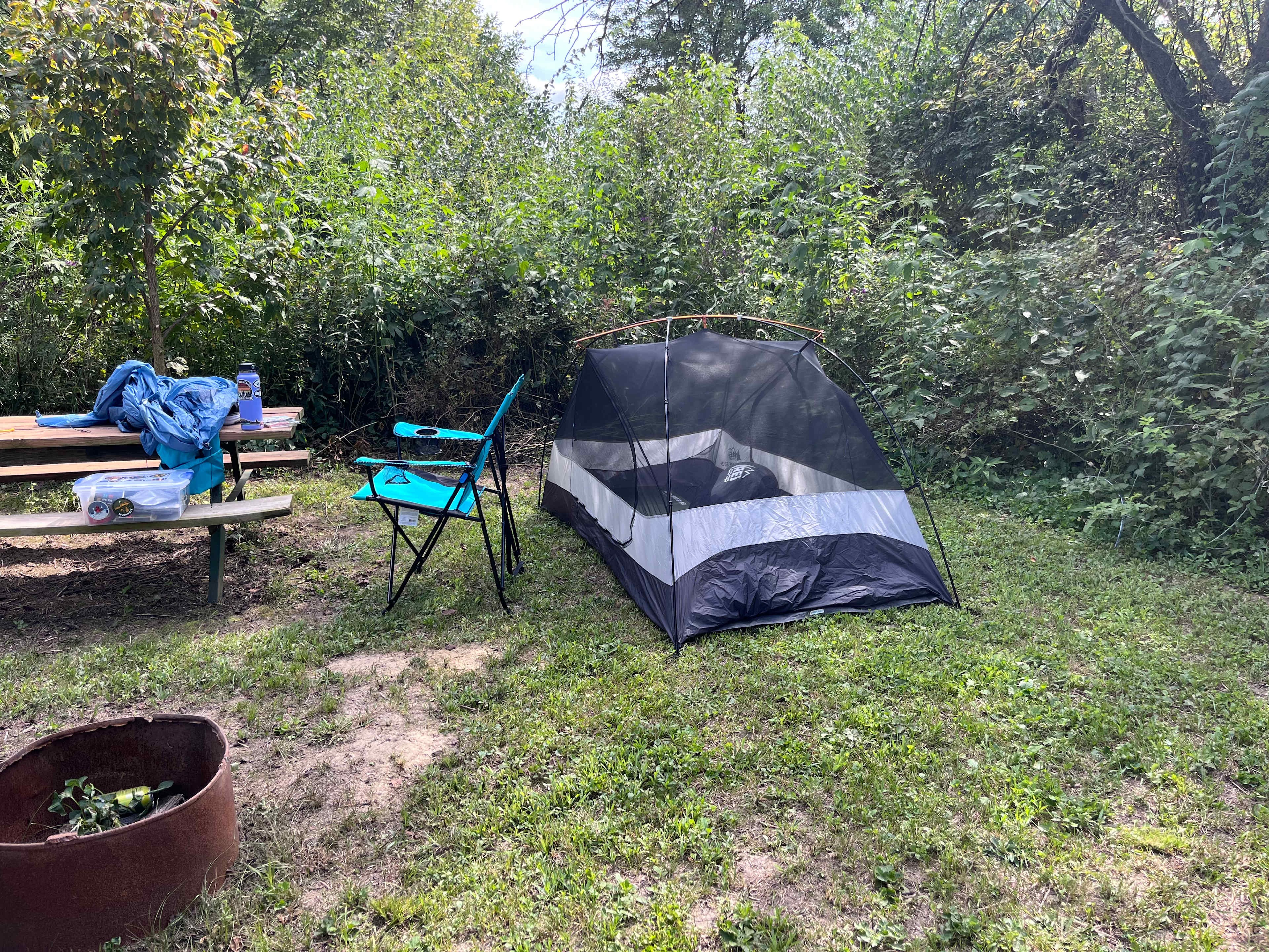 Picture of the site