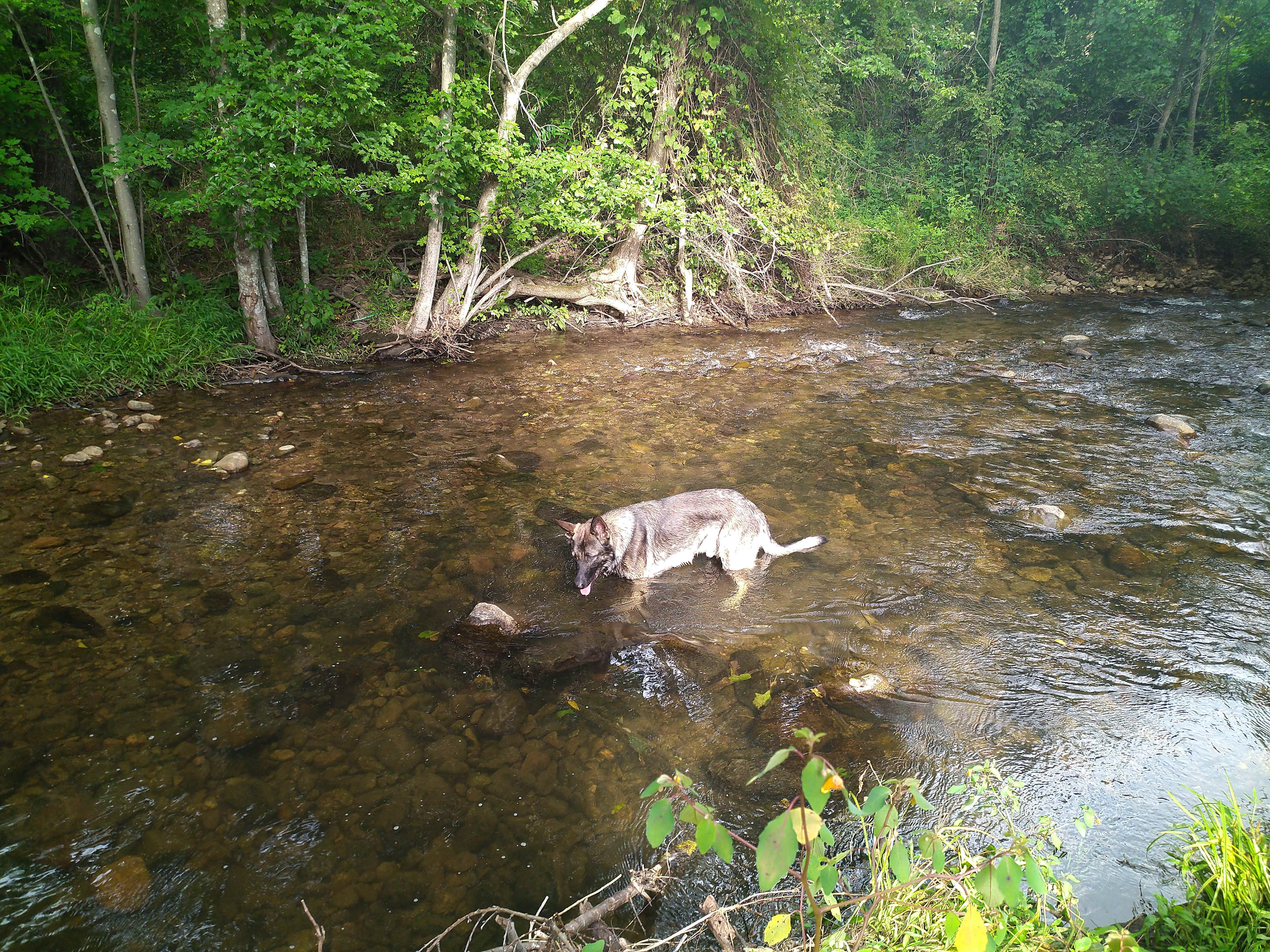Stoney Creek Campground
