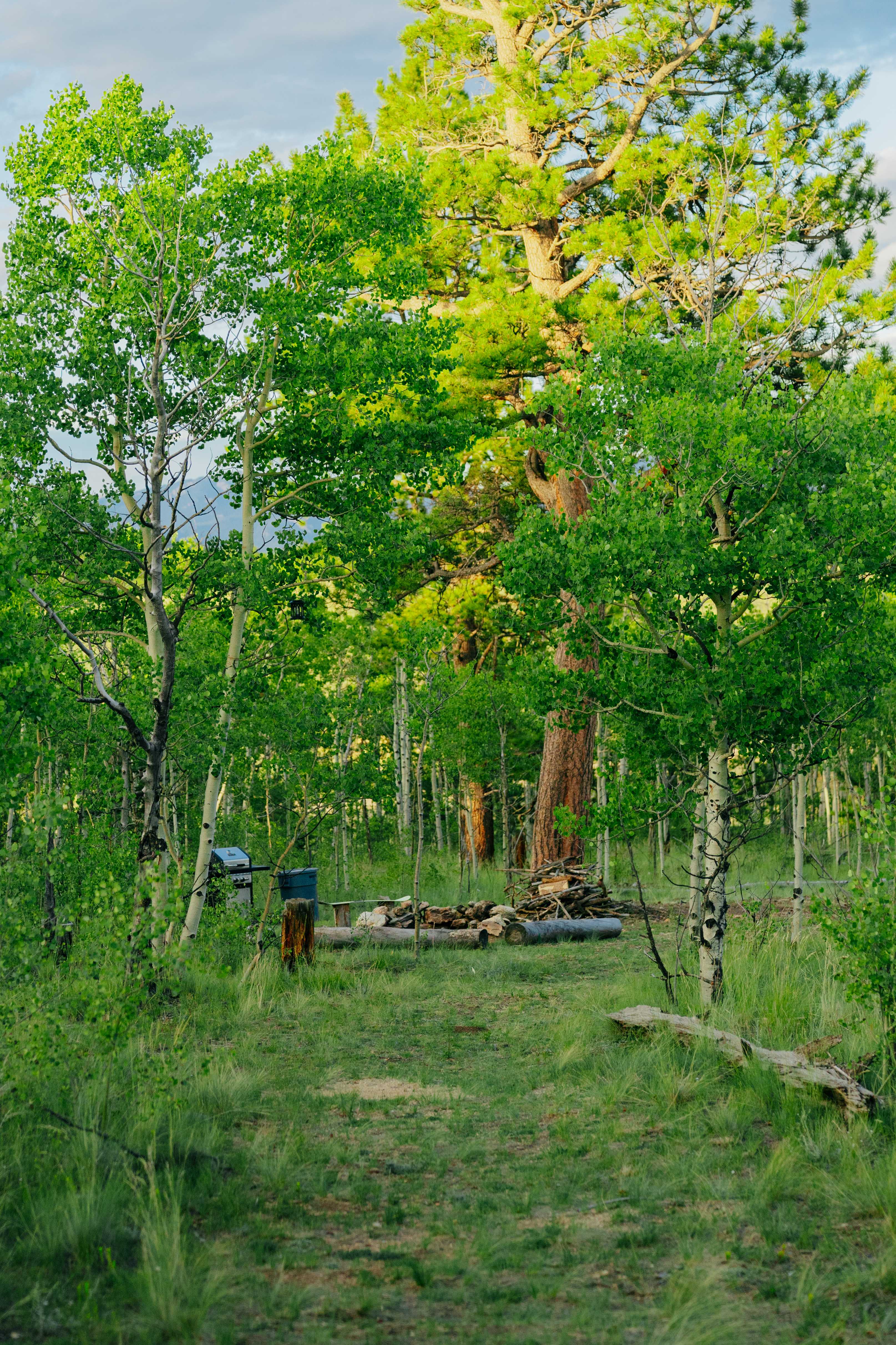 Gypsy Mountain Camping