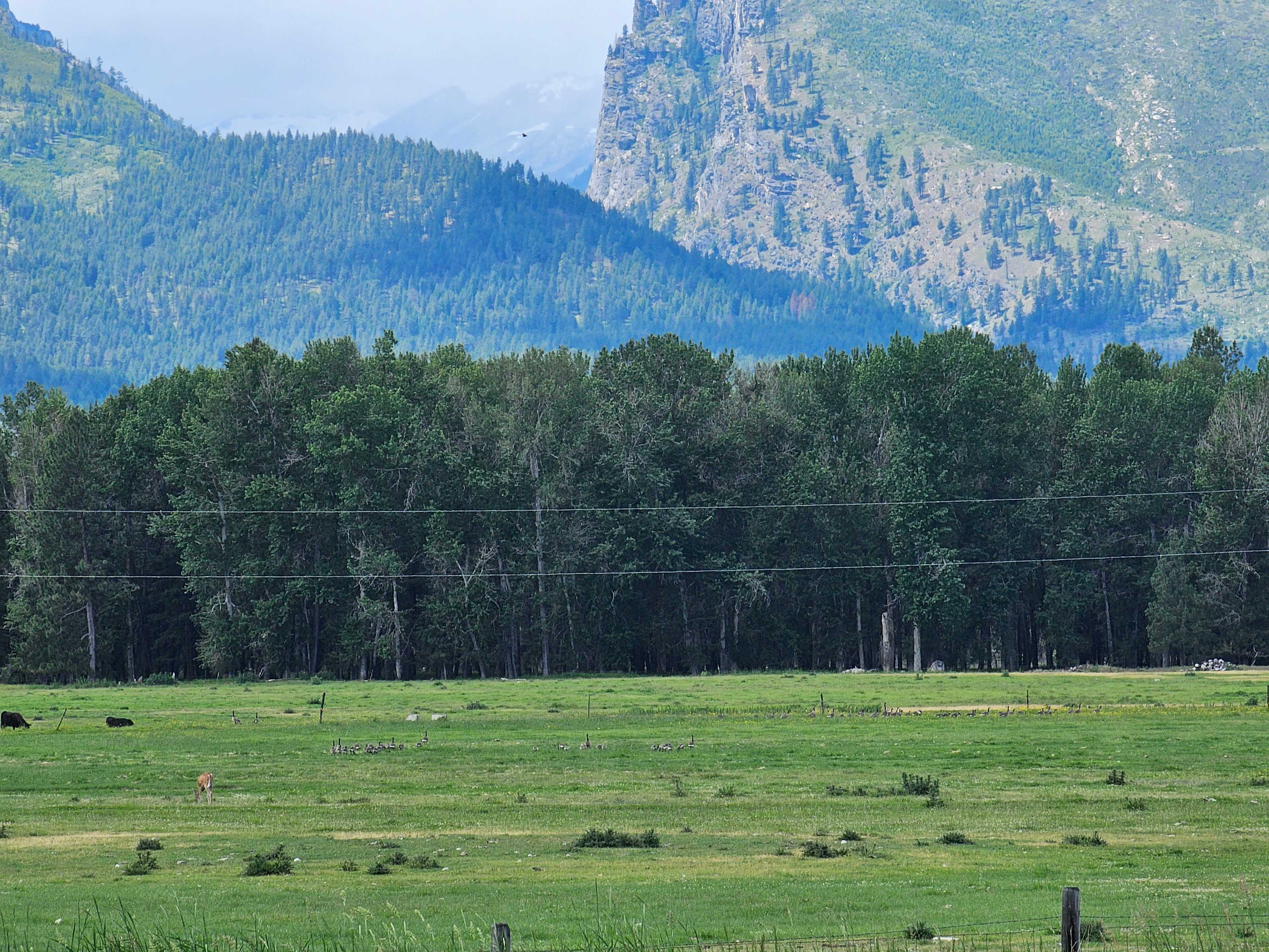 Miller Creek Canyon views
