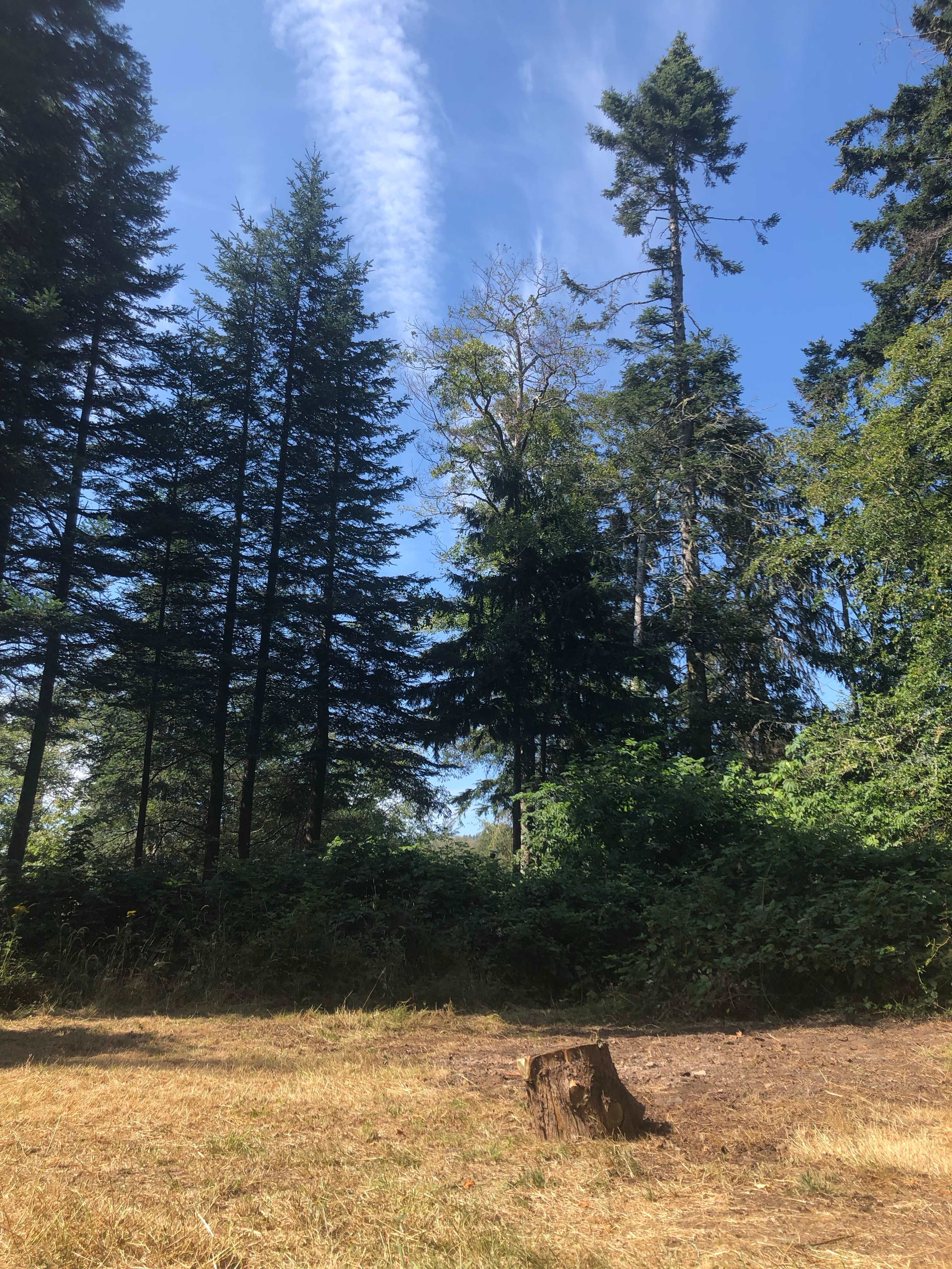 Sooke Camping