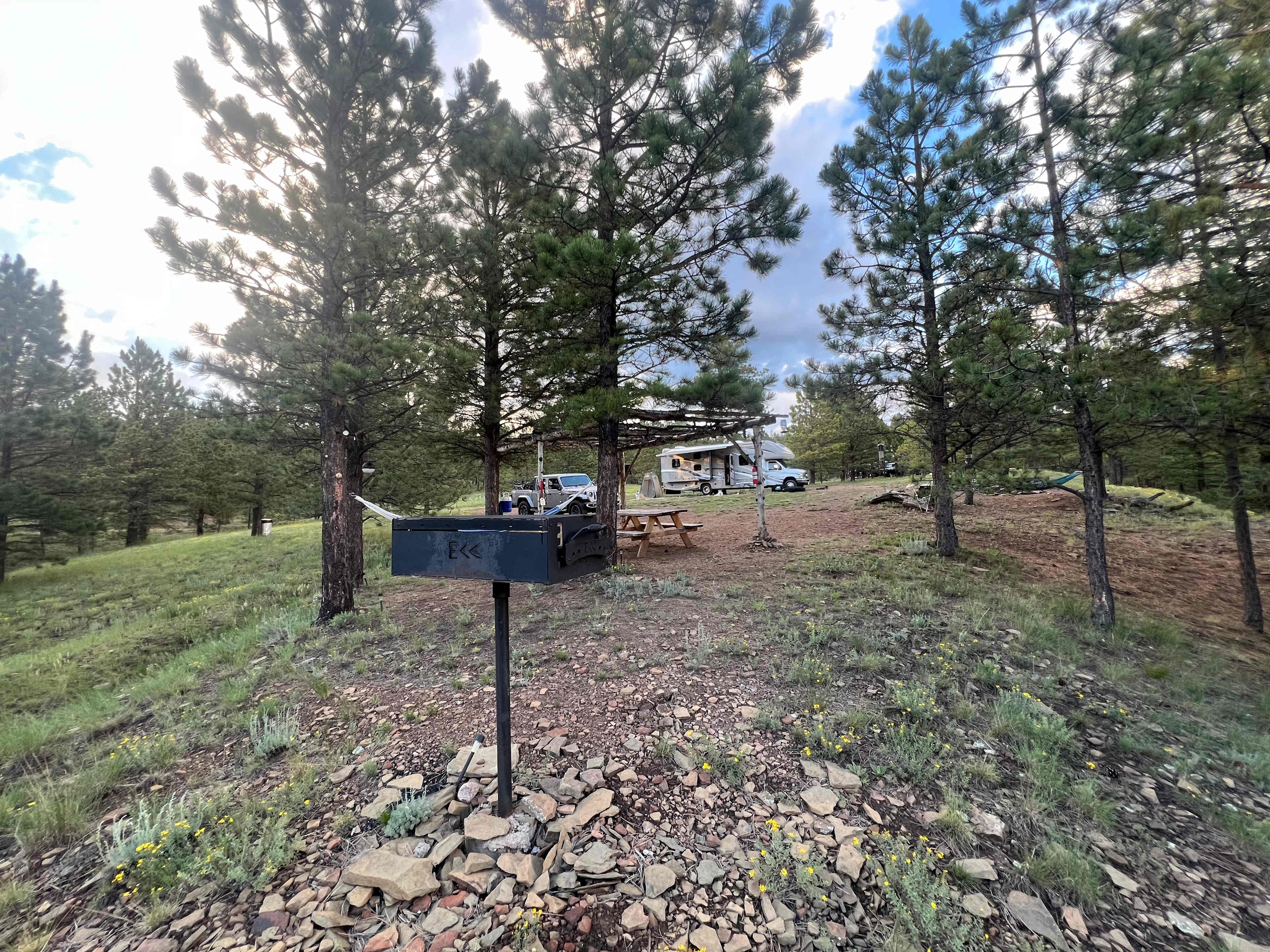 Picture of the site