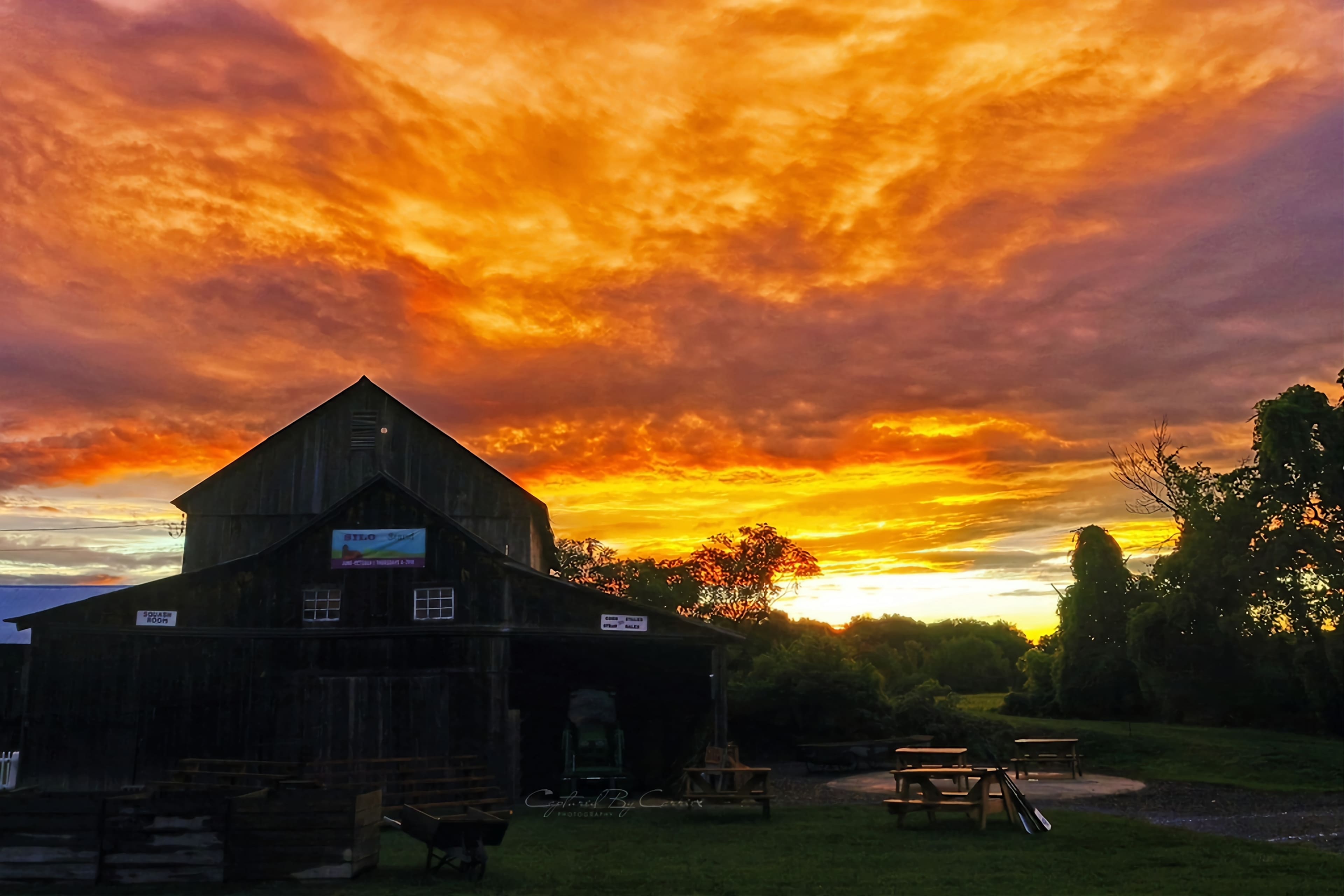 The Pumpkin Stand @ Mount View Farm