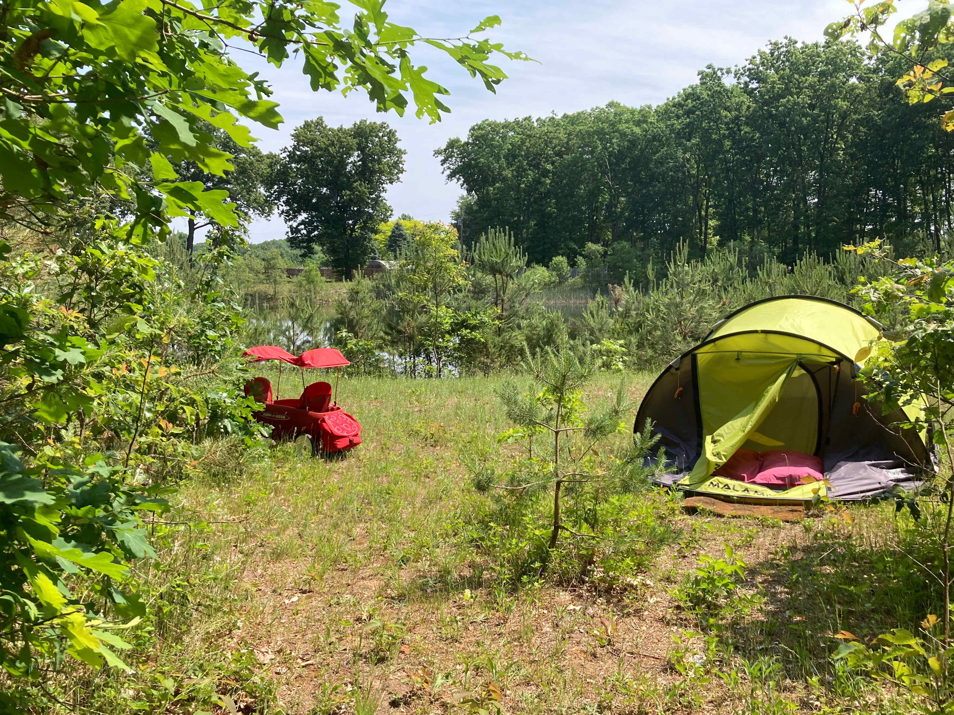 Picture of the site
