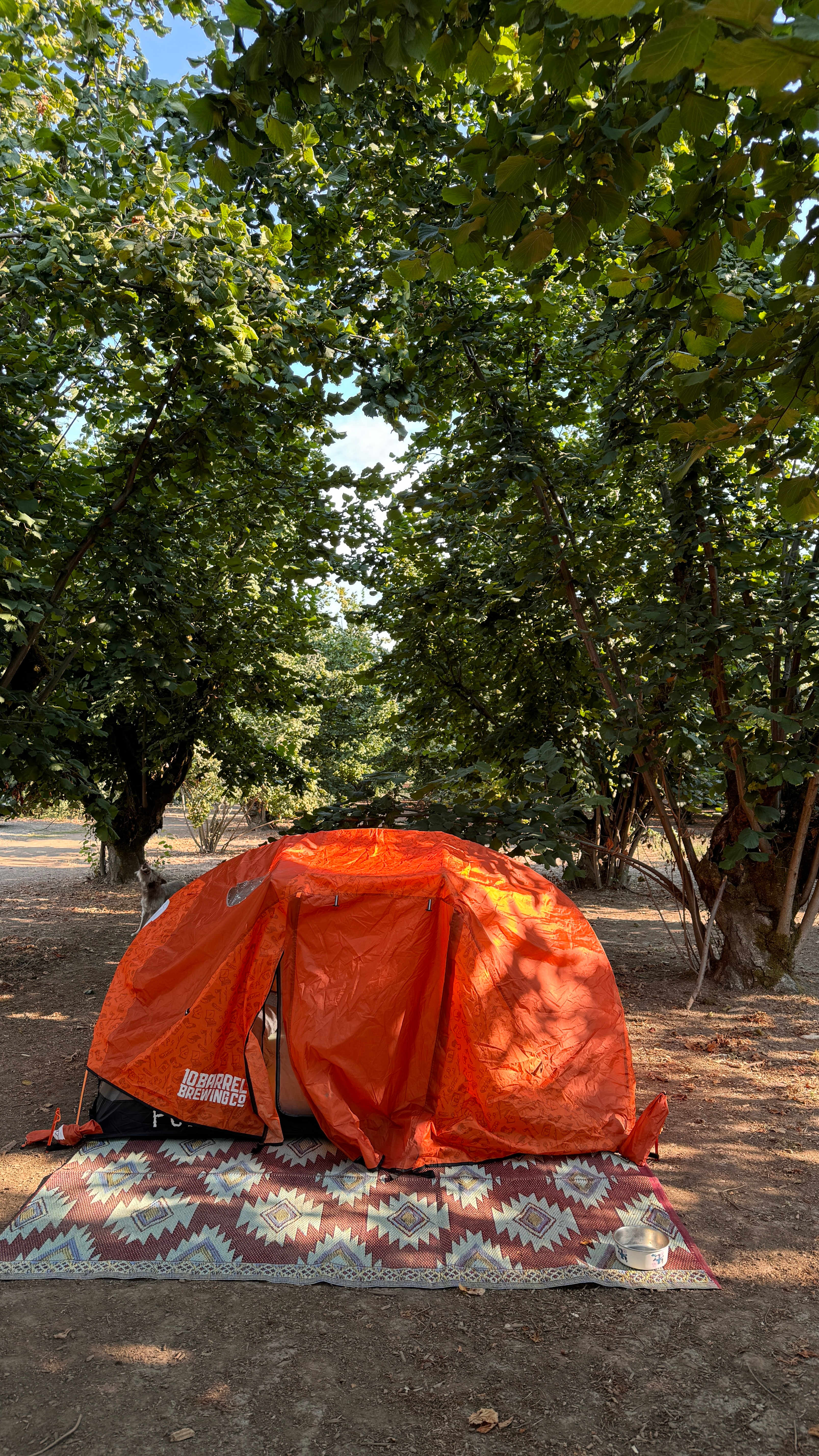 Picture of the site