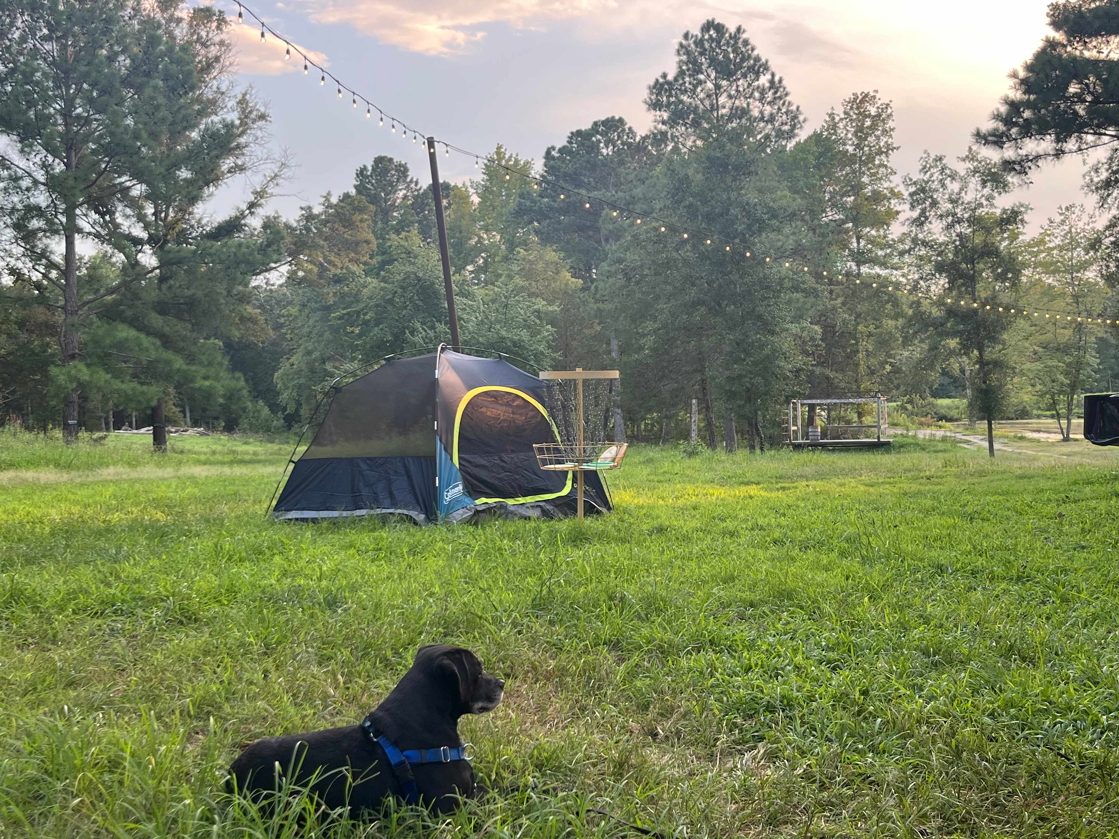 Farm Stay at Saxapahaw Country Club