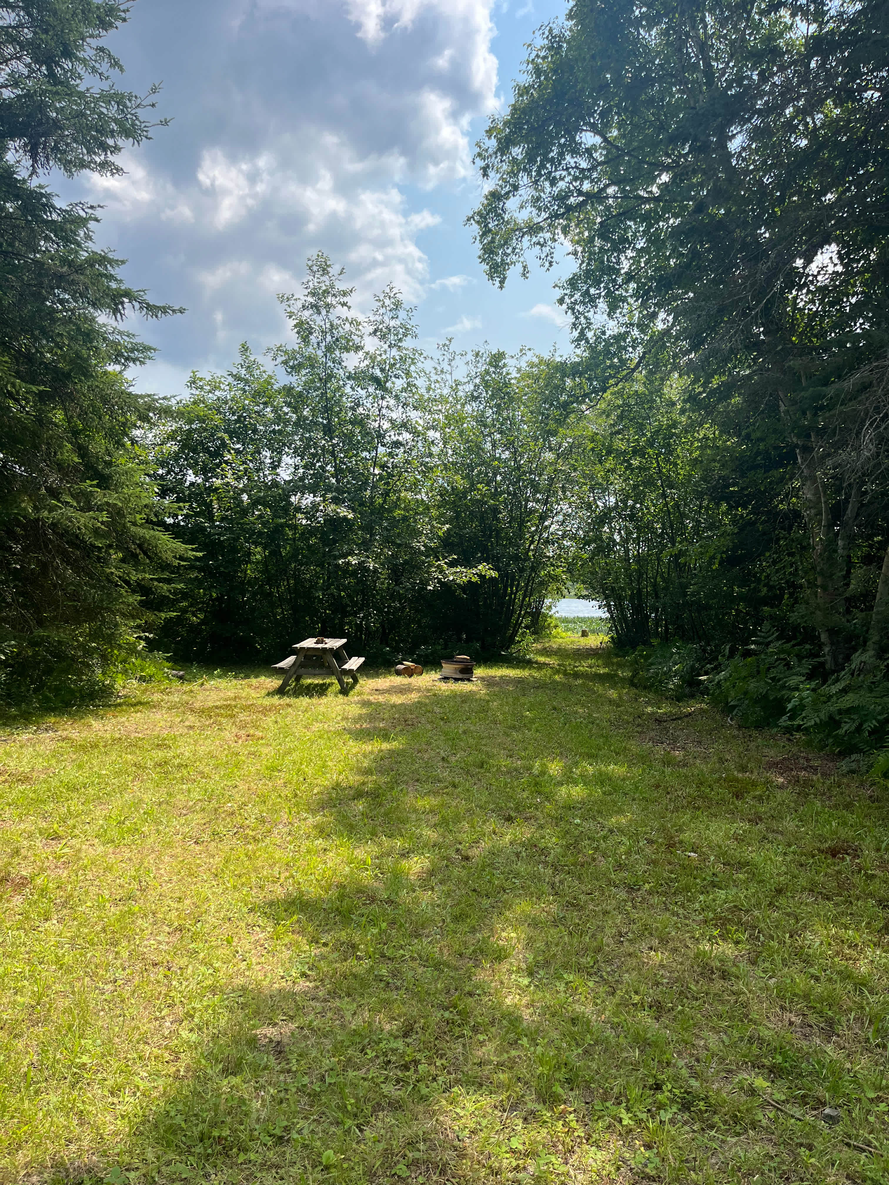 Picture of the site