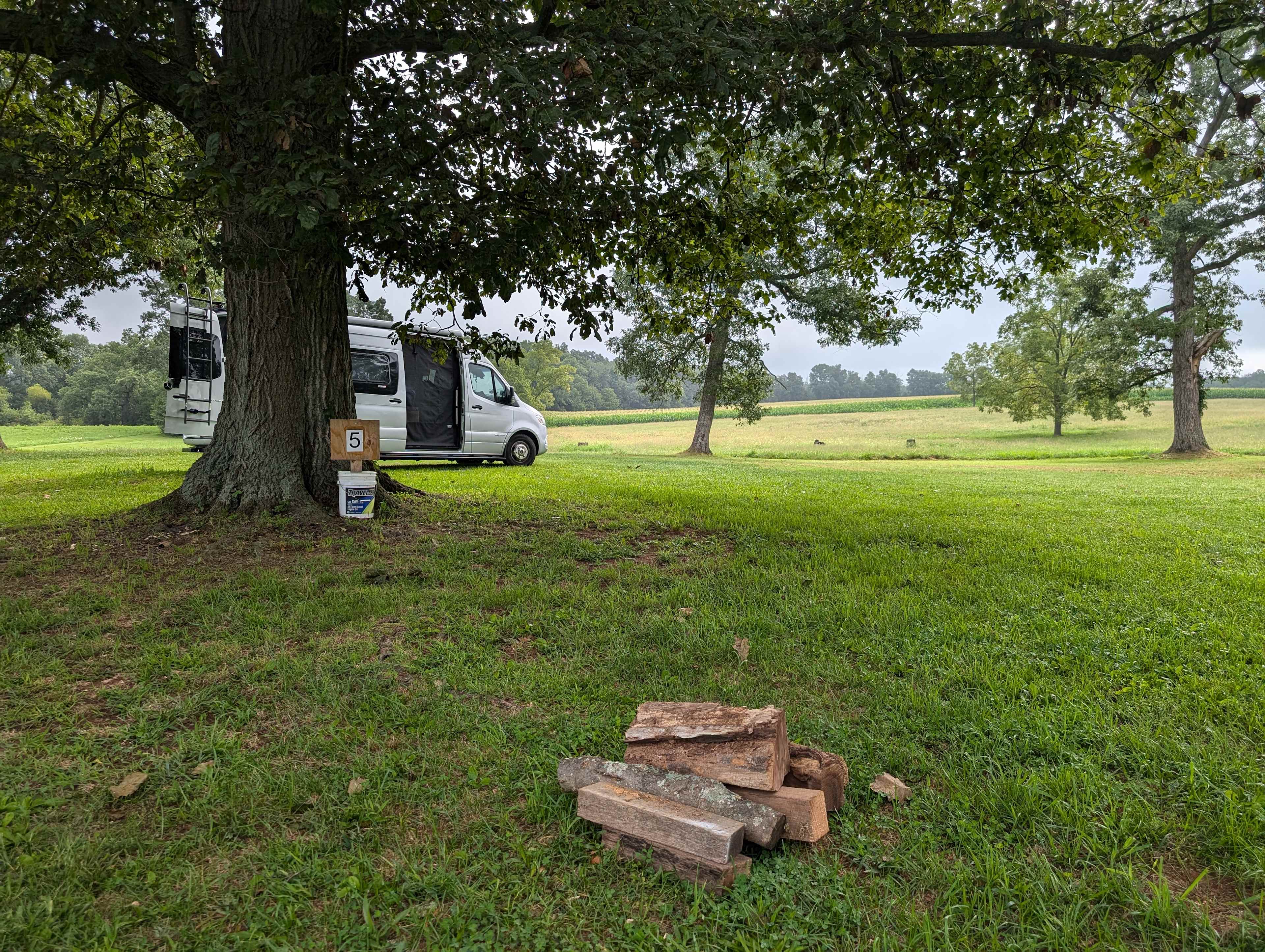 Picture of the site