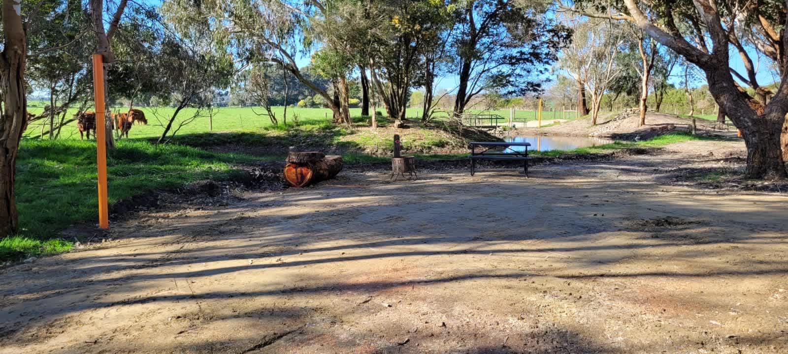 Picture of the site