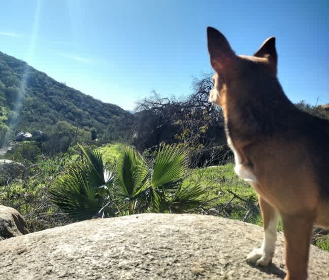 Detour n De Luz Fallbrook San Diego