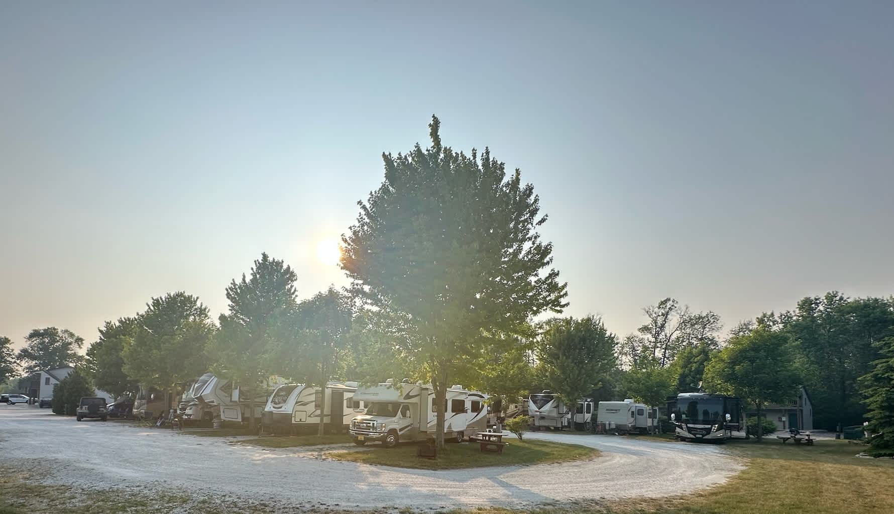 Picture of the site
