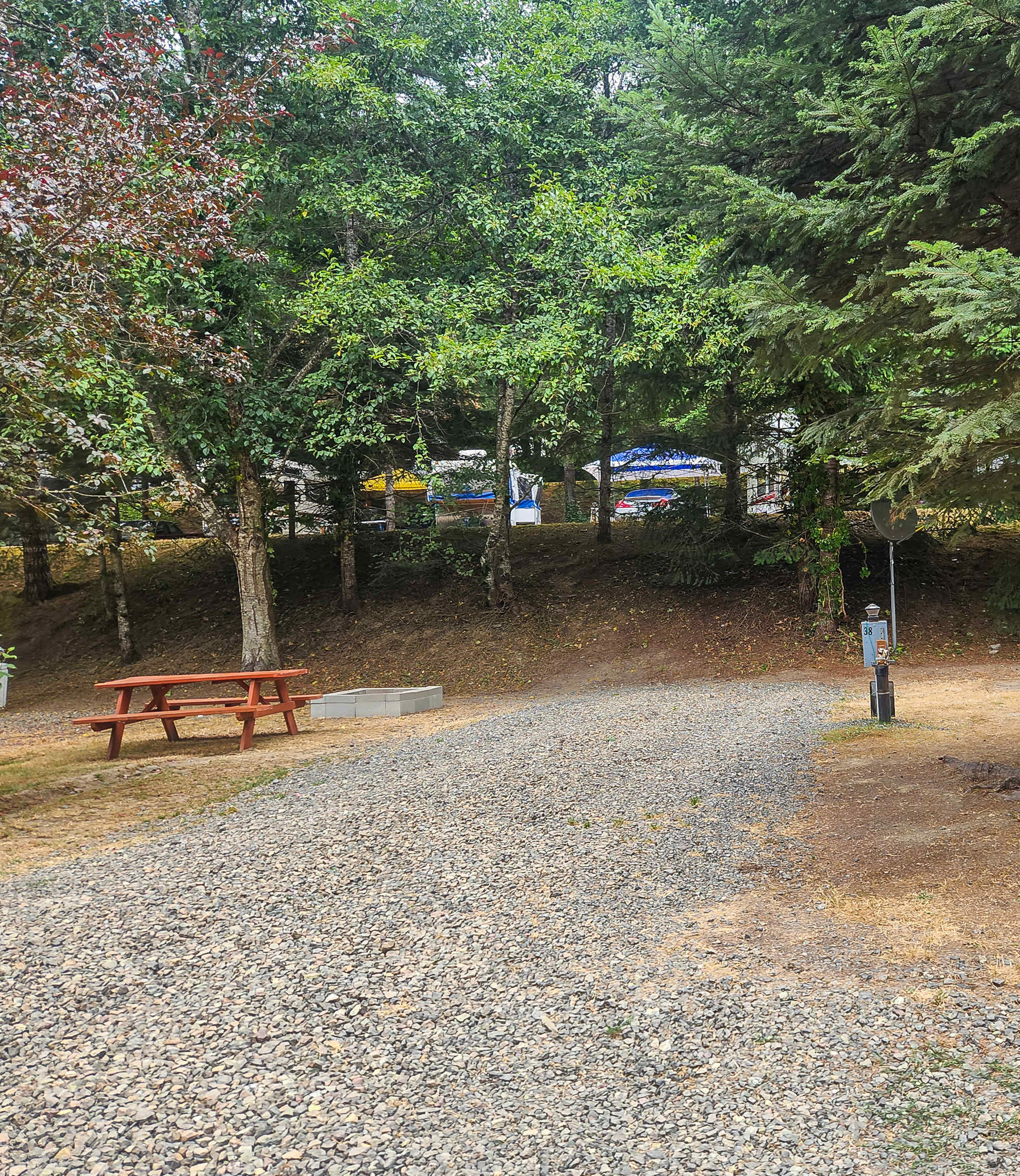 Picture of the site