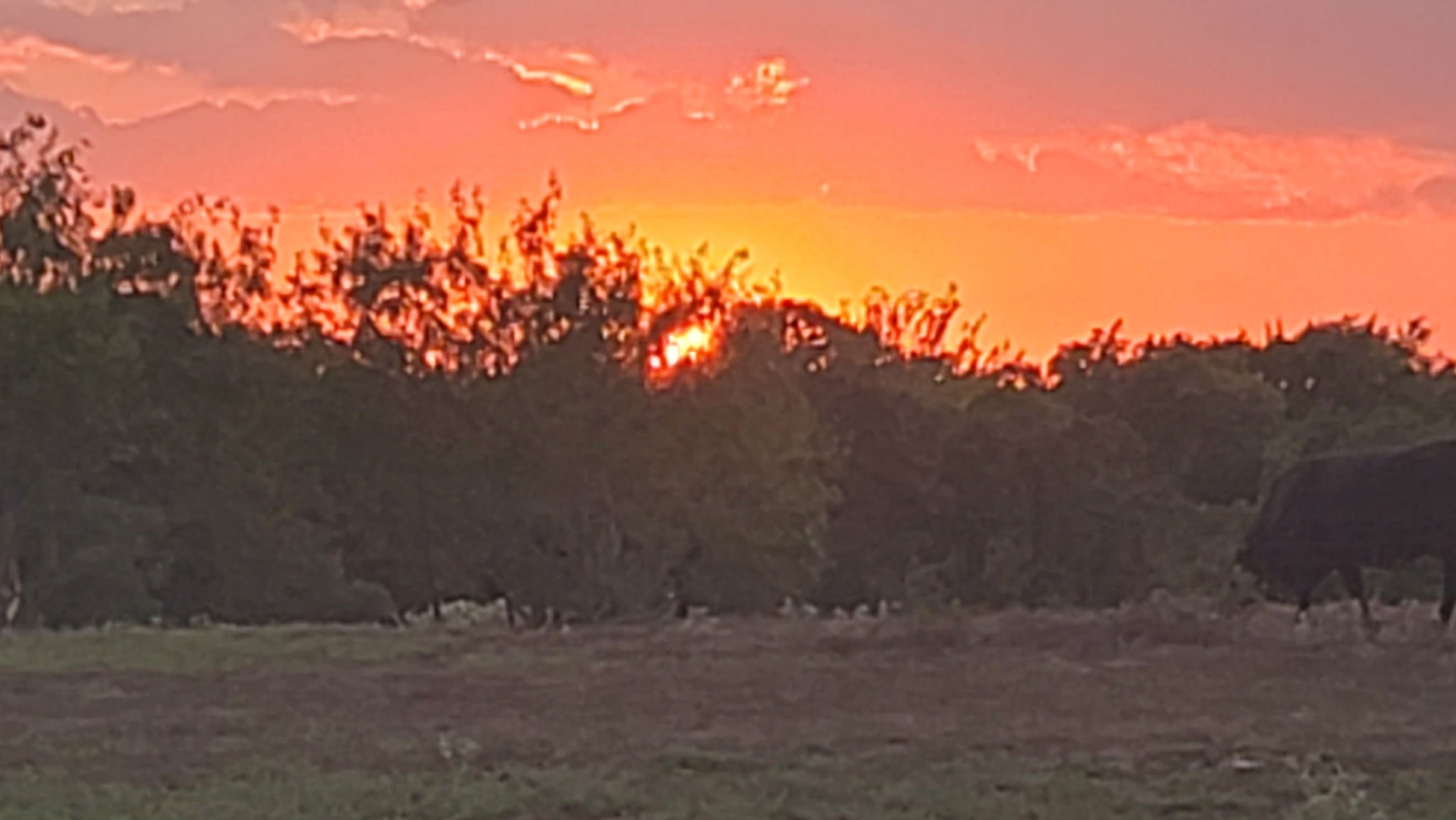 Firewalker Ranch