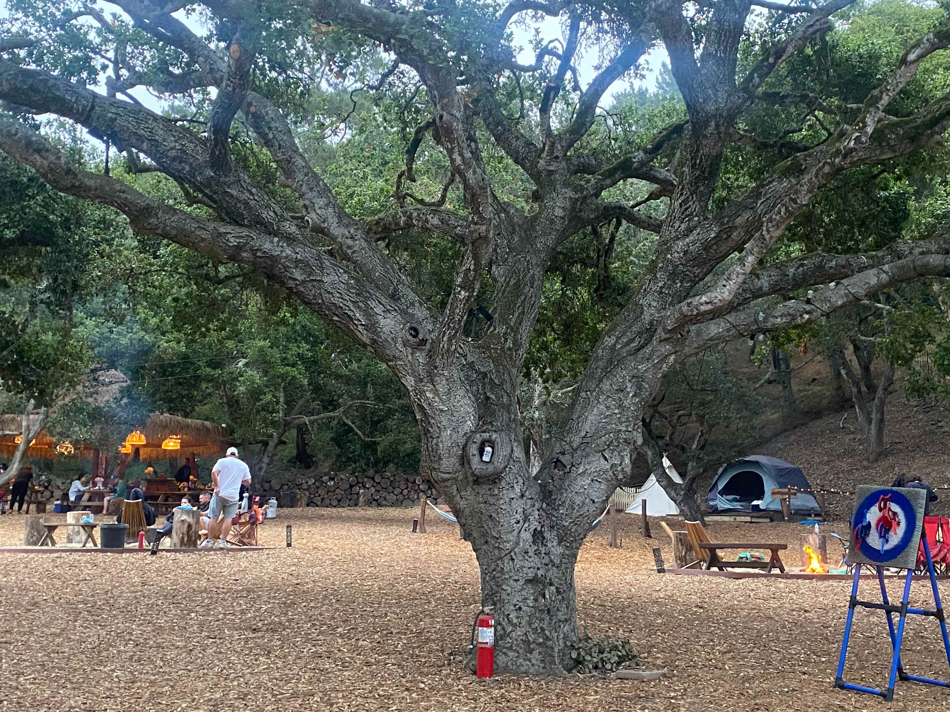 Picture of the site