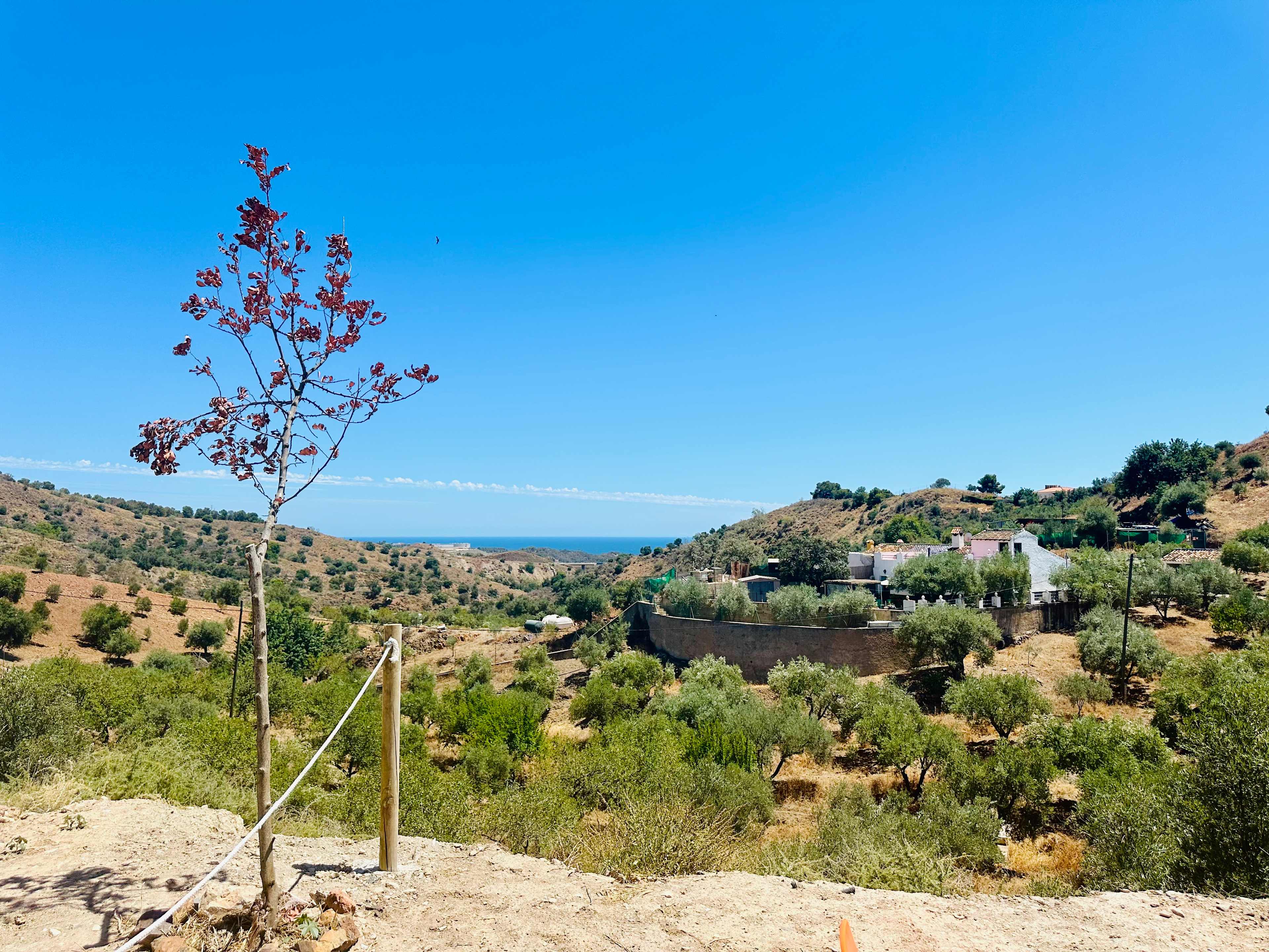 Camping Castillo AlMlaga - Hipcamp