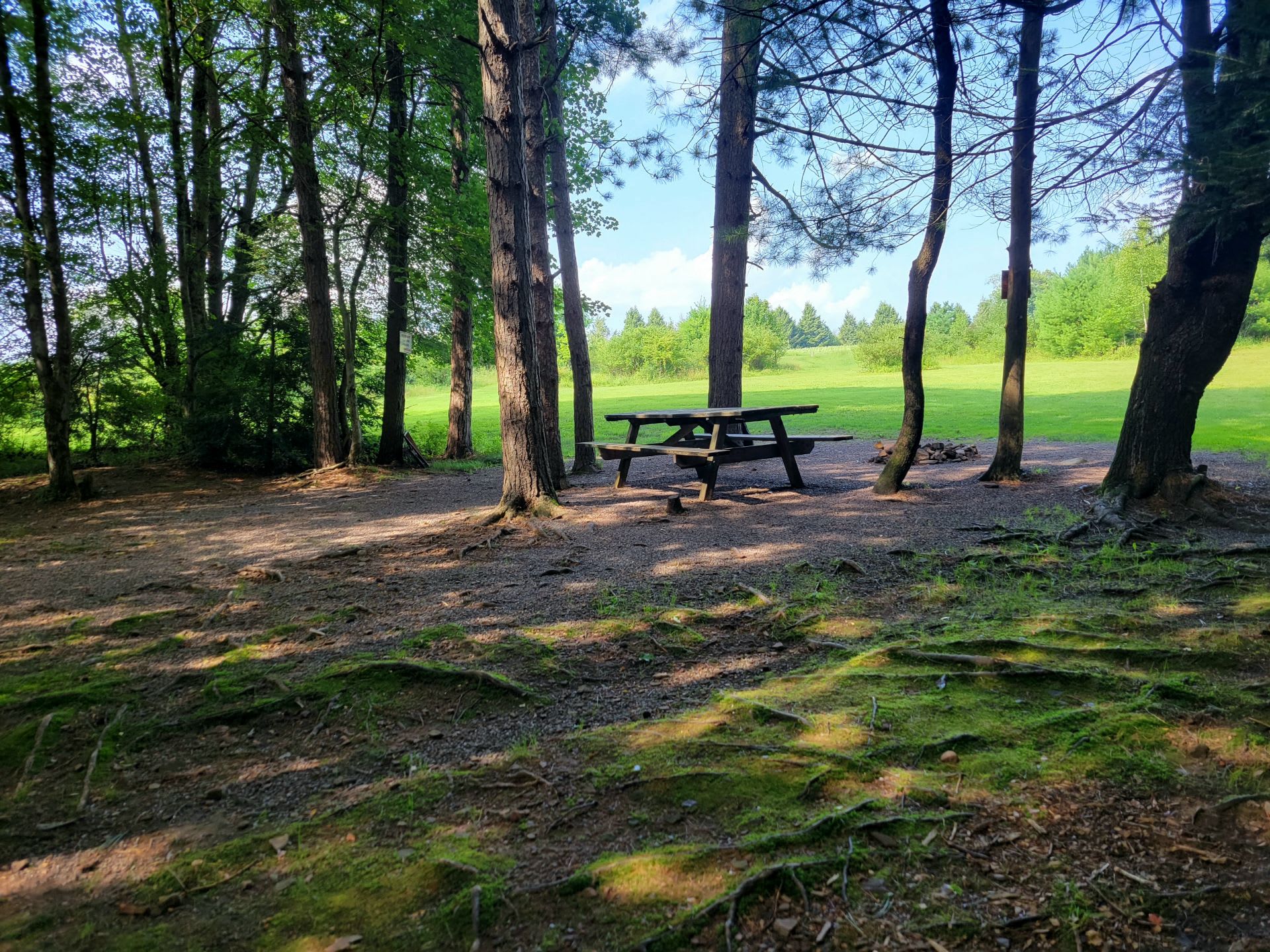 Picture of the site