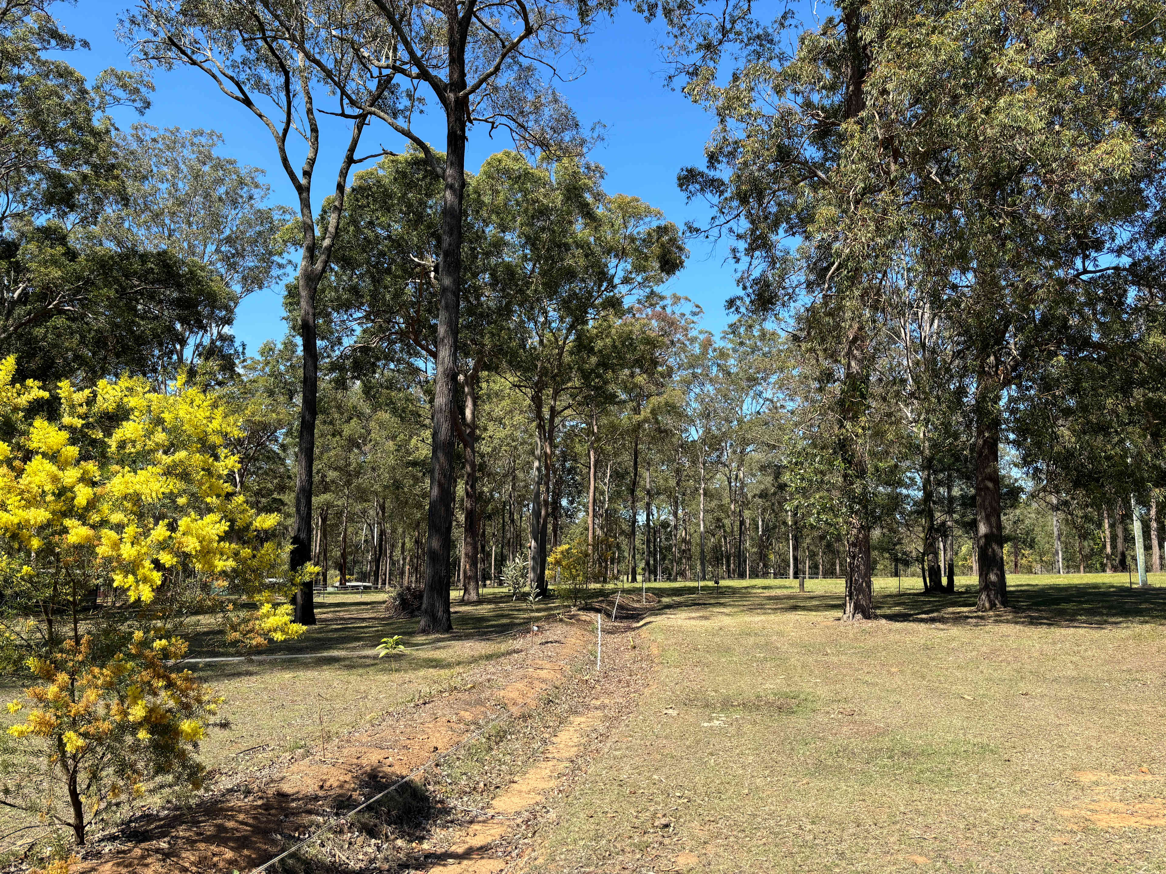Blackbutt Permaculture Farm Camp