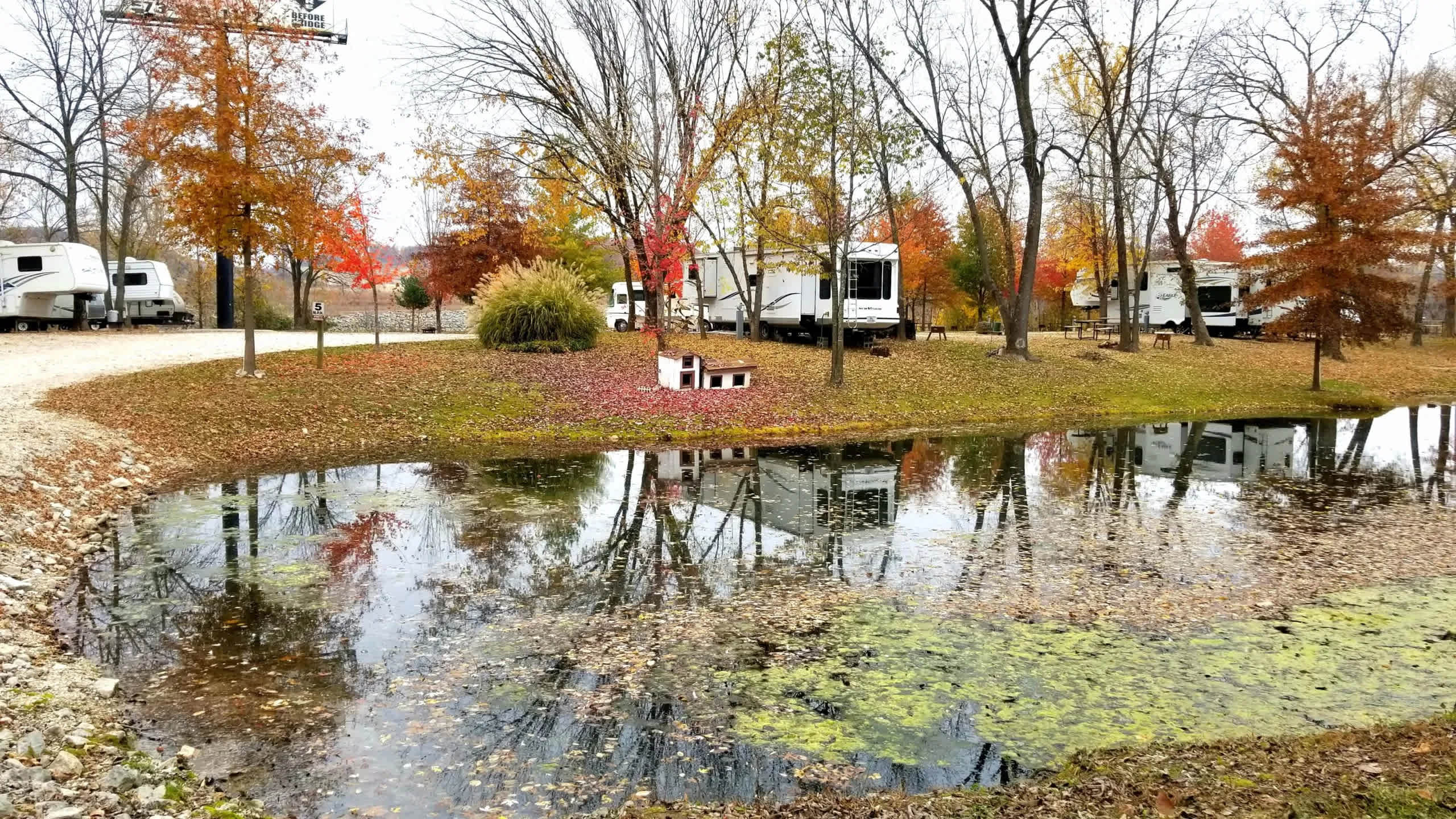 Picture of the site
