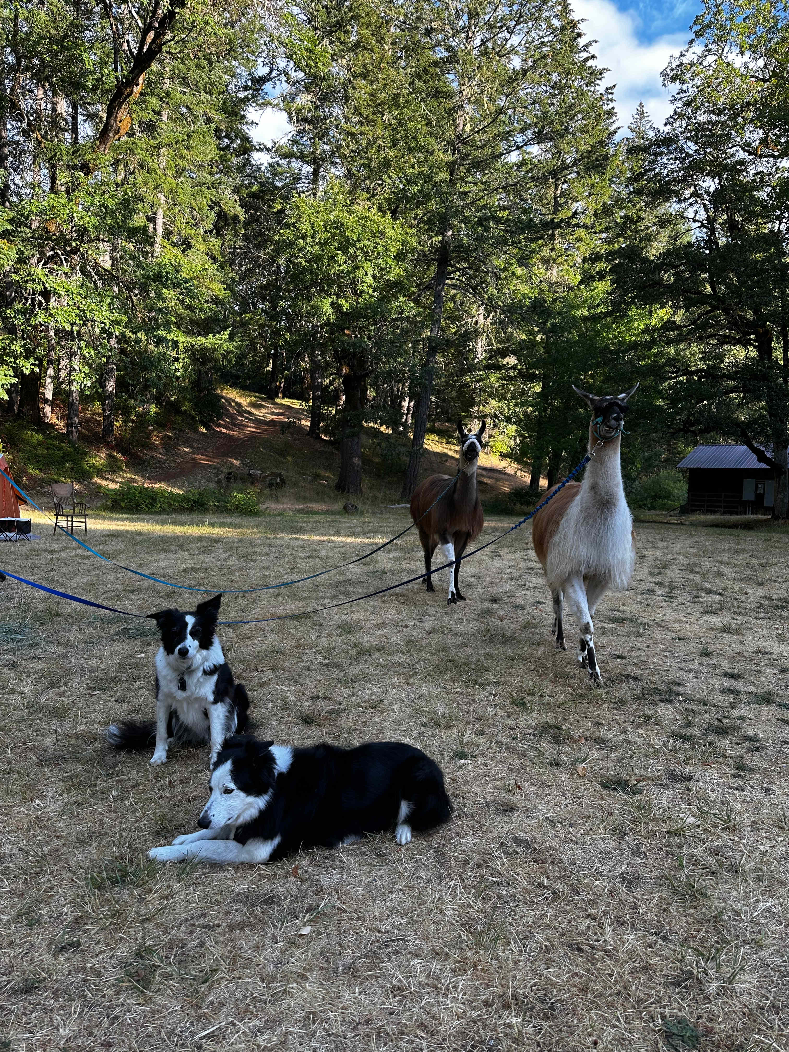Whisper Canyon: Nature + Community