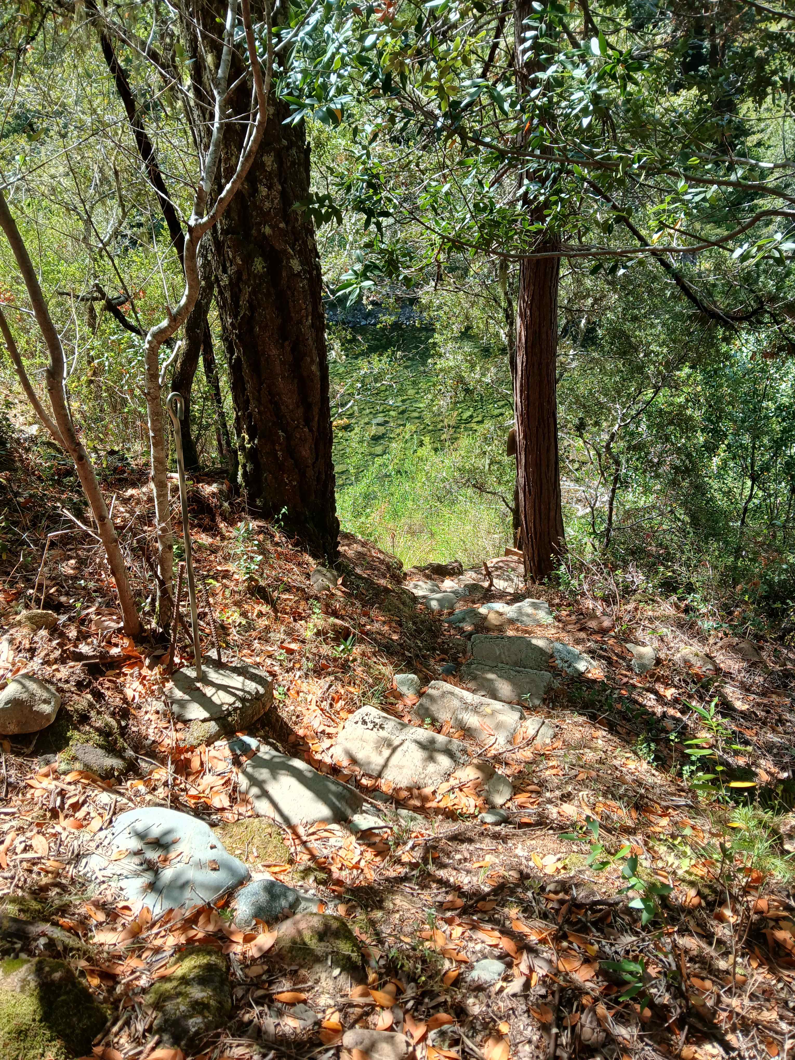 Azalea River