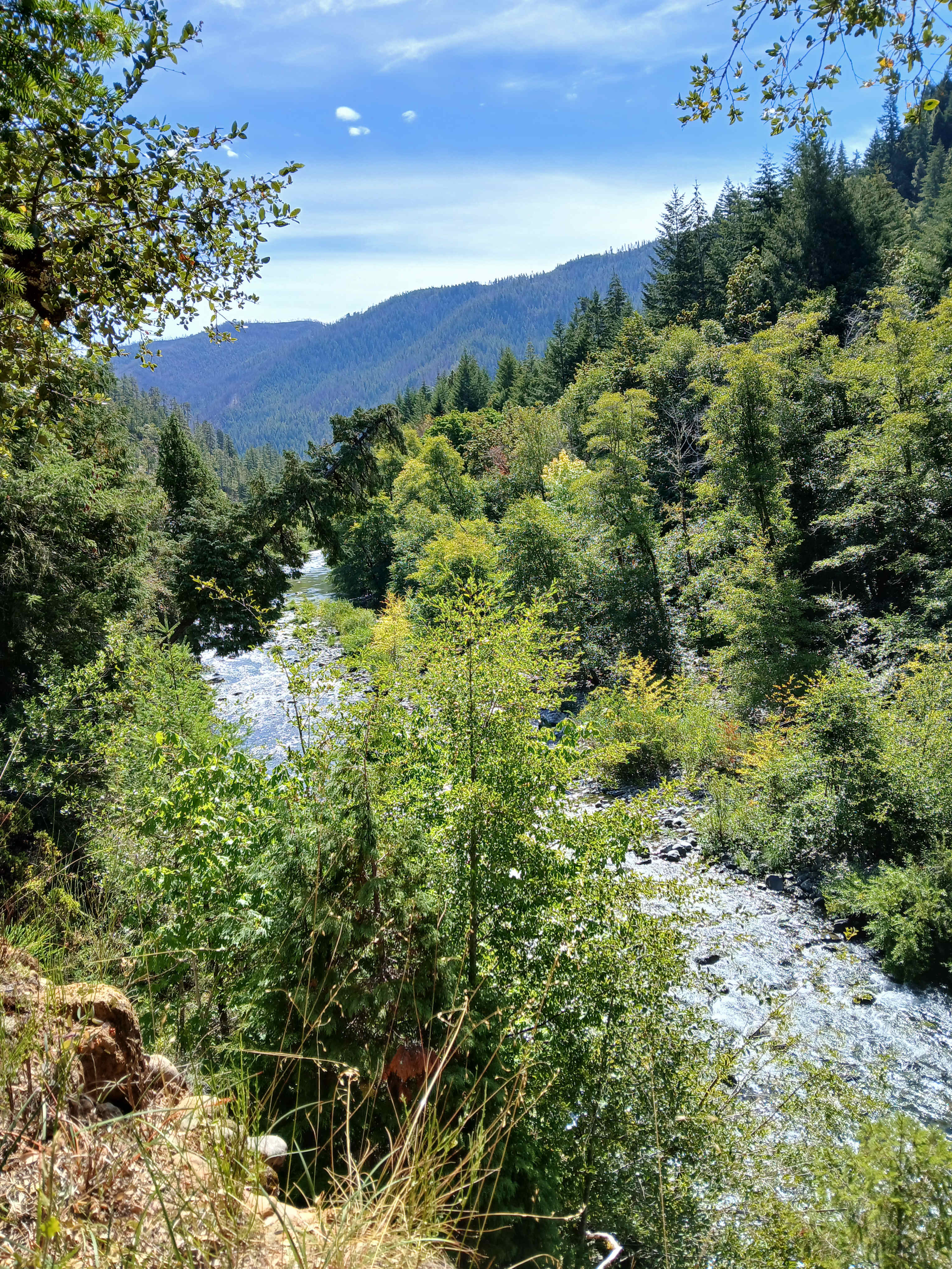 Azalea River