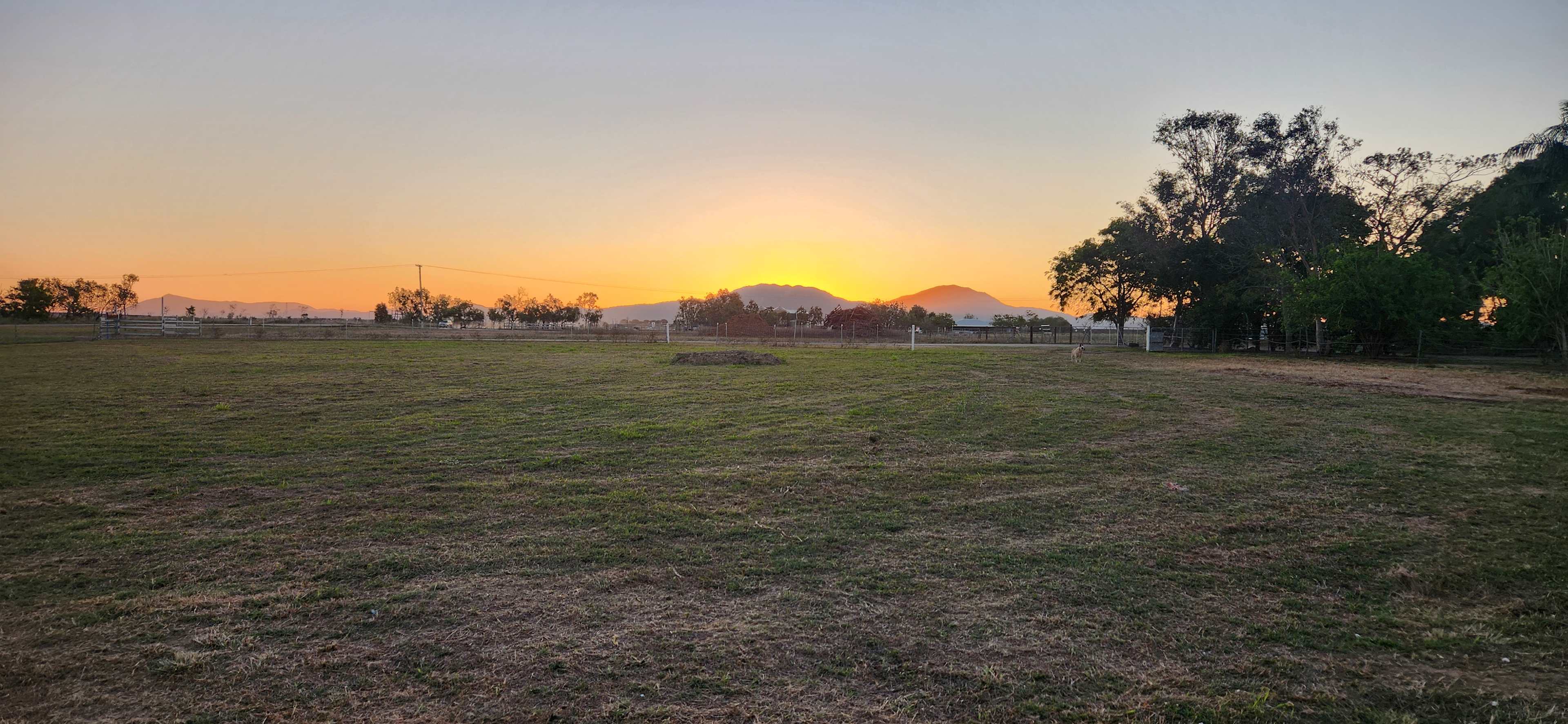Jenkins Farm