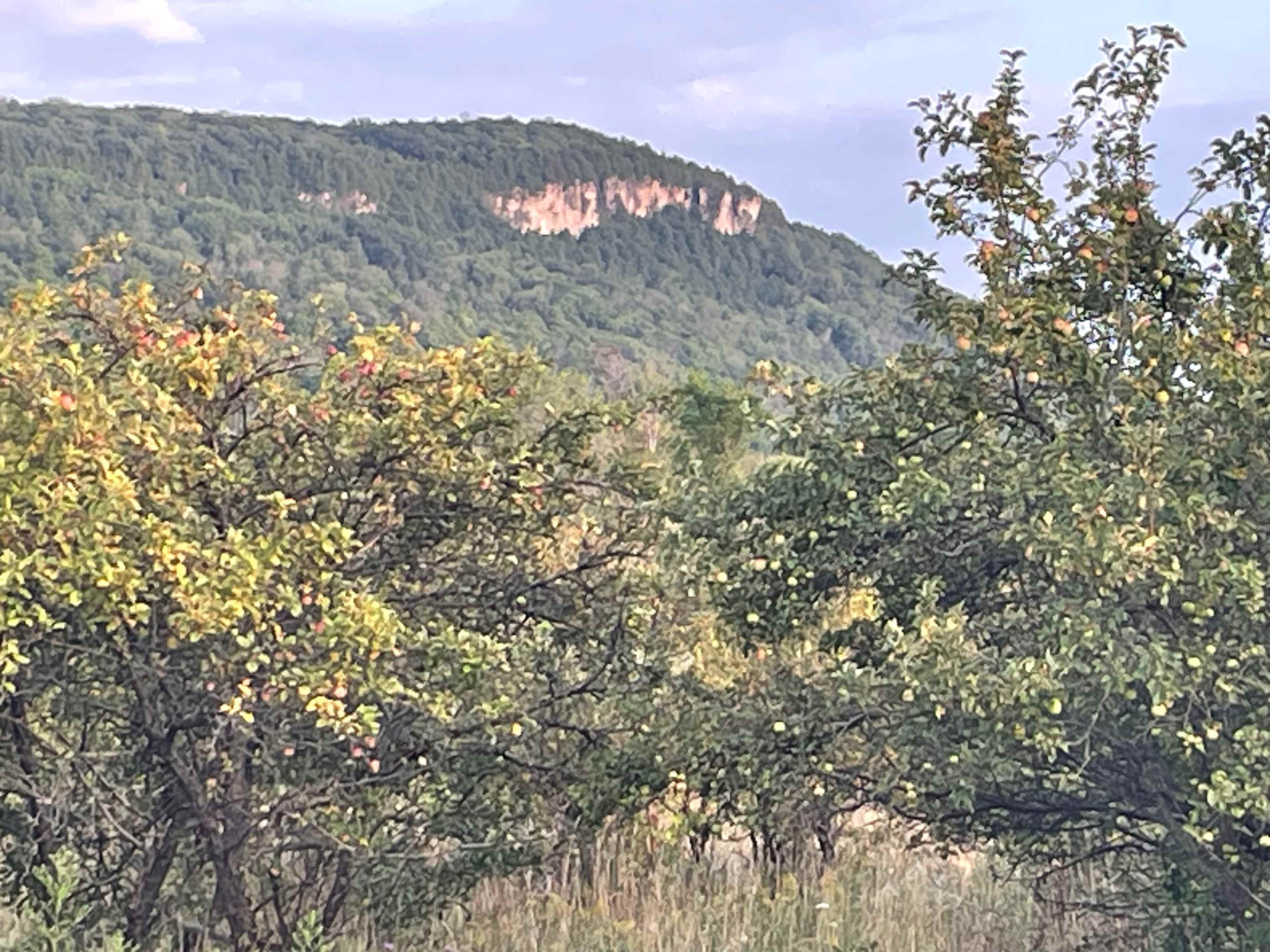 Picture of the site
