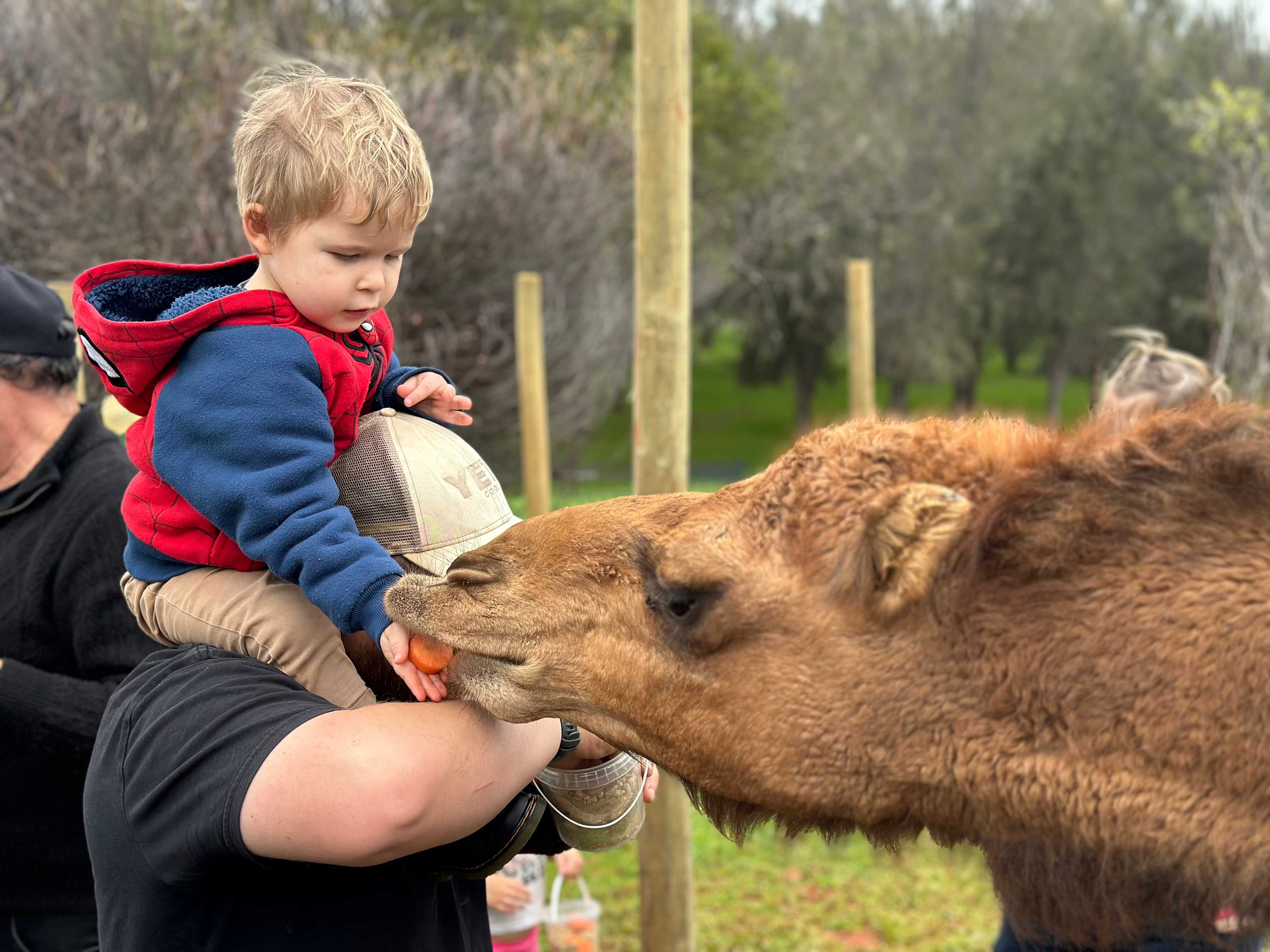 Sandalwood Downs  Farm Stay Toodyay