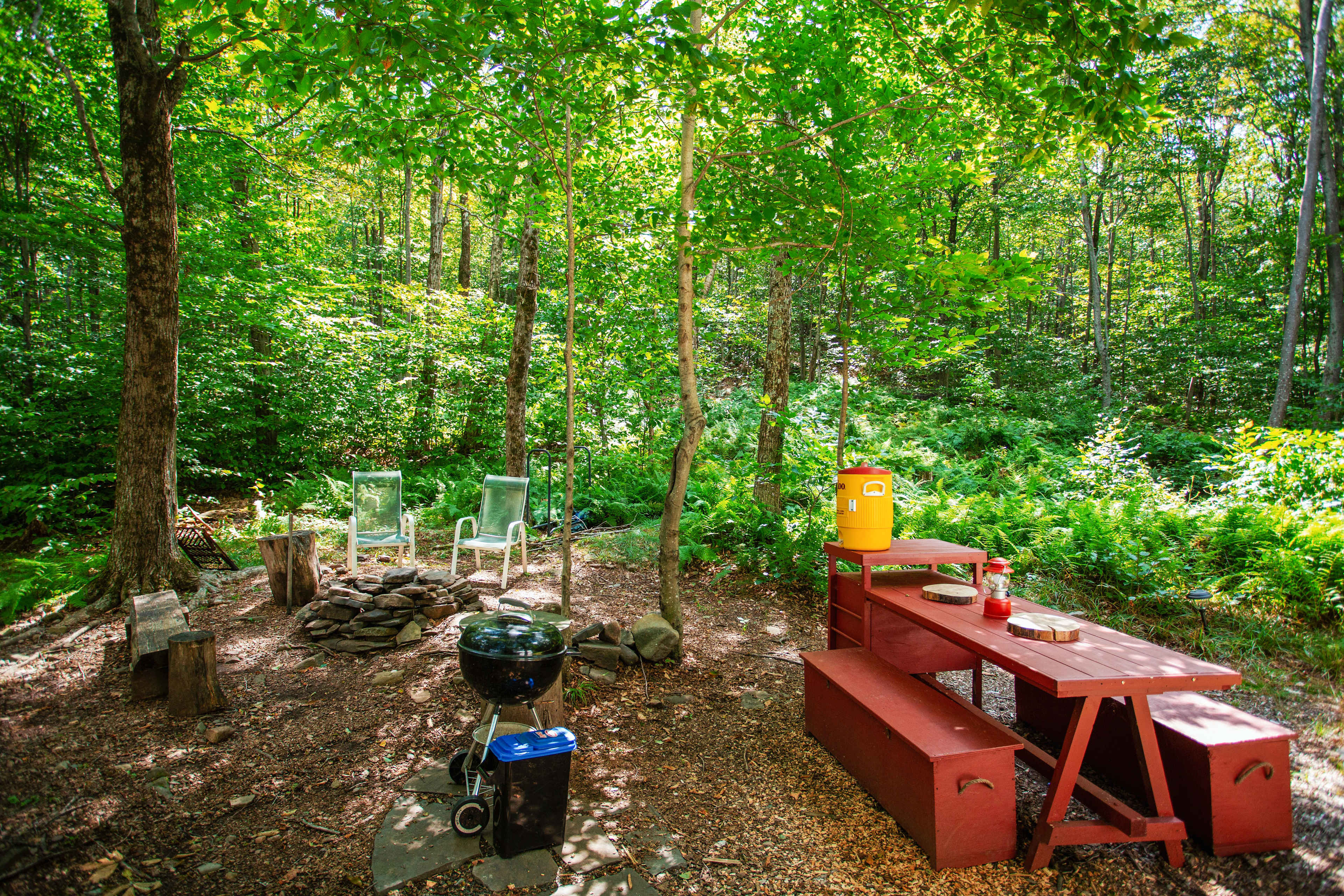 Picture of the site