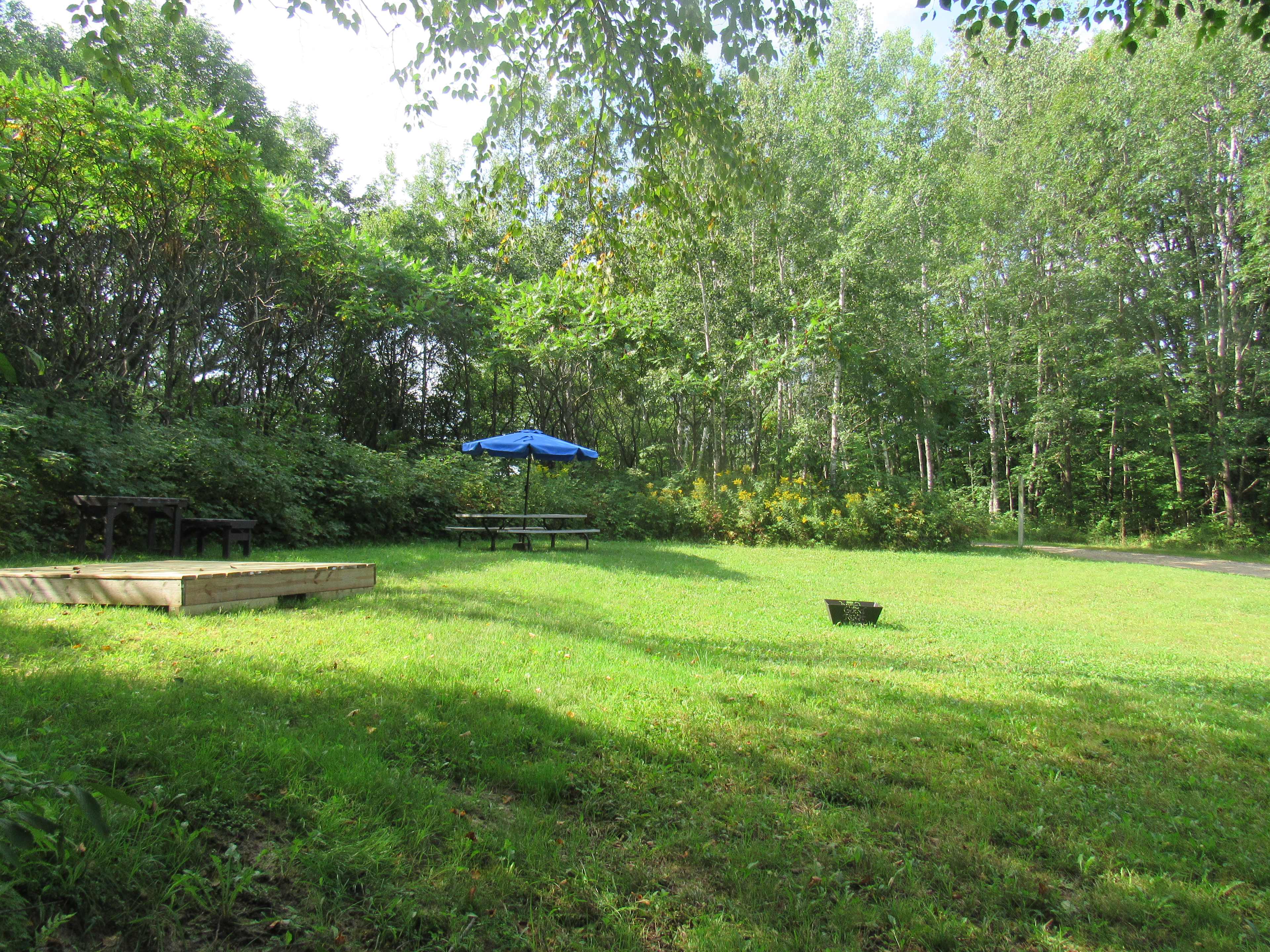 Picture of the site