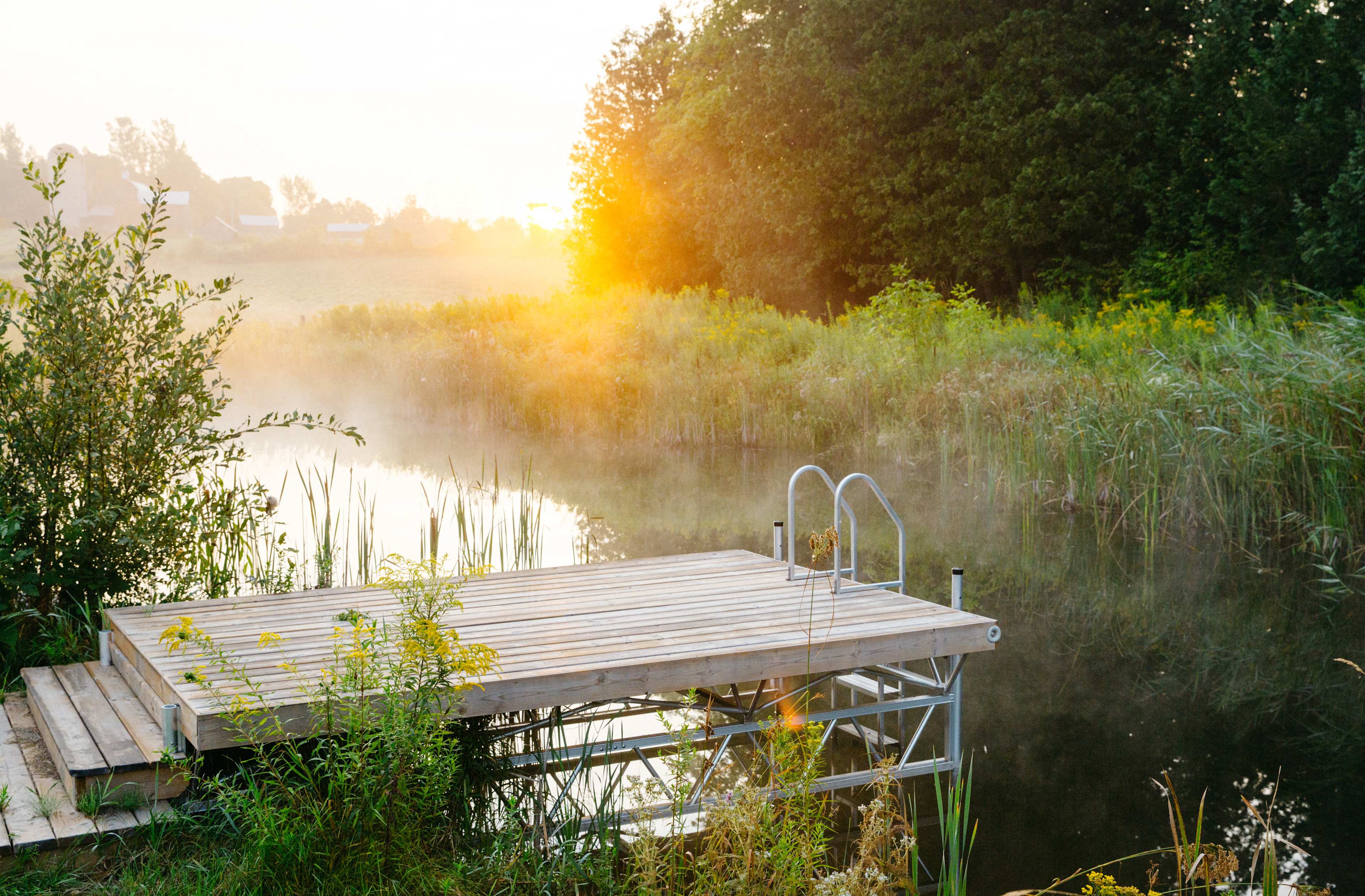 Take a dip in the pond just steps away from the yurt