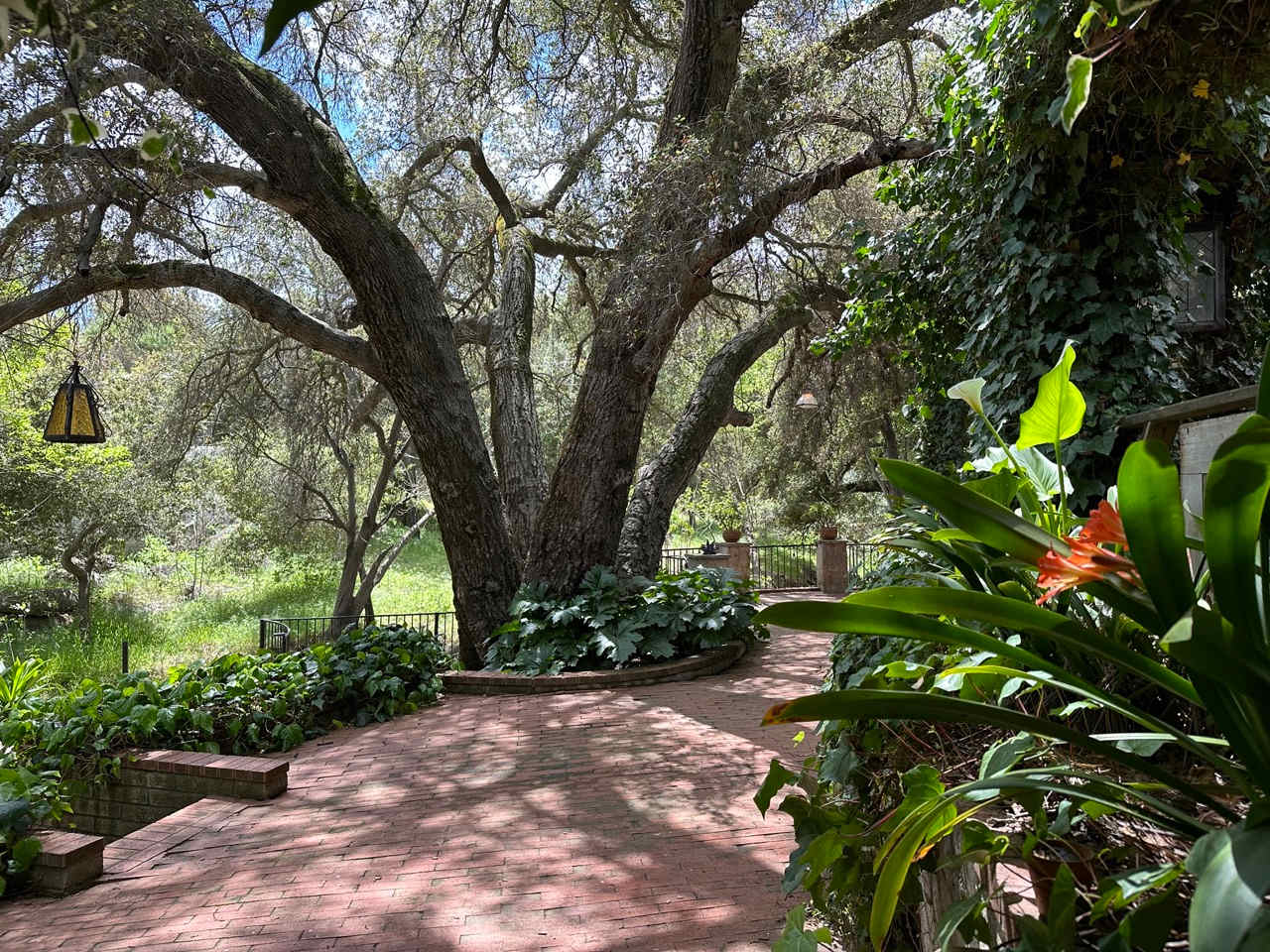 Wild Seeds Ranch